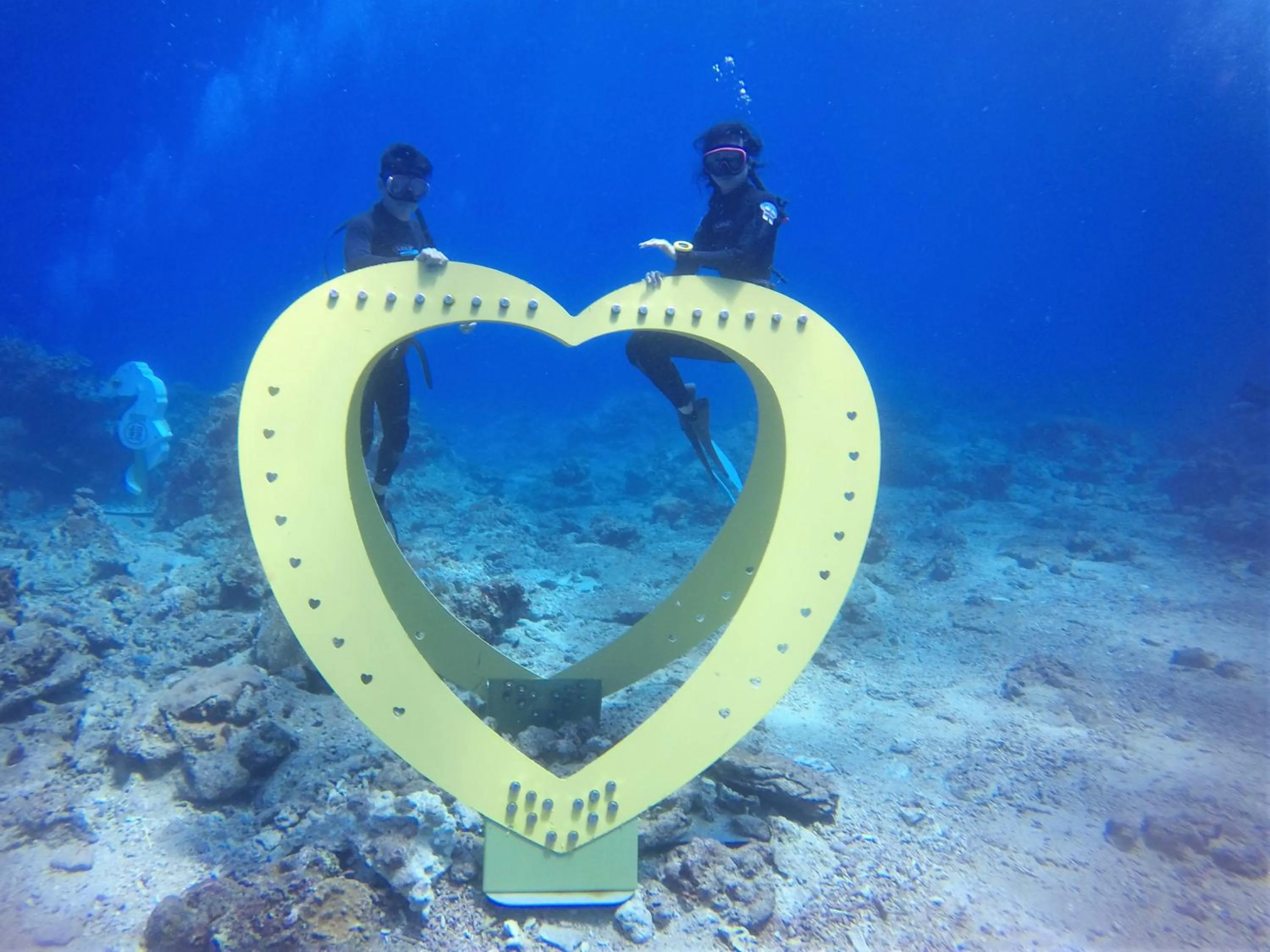 Fire Island Guest House