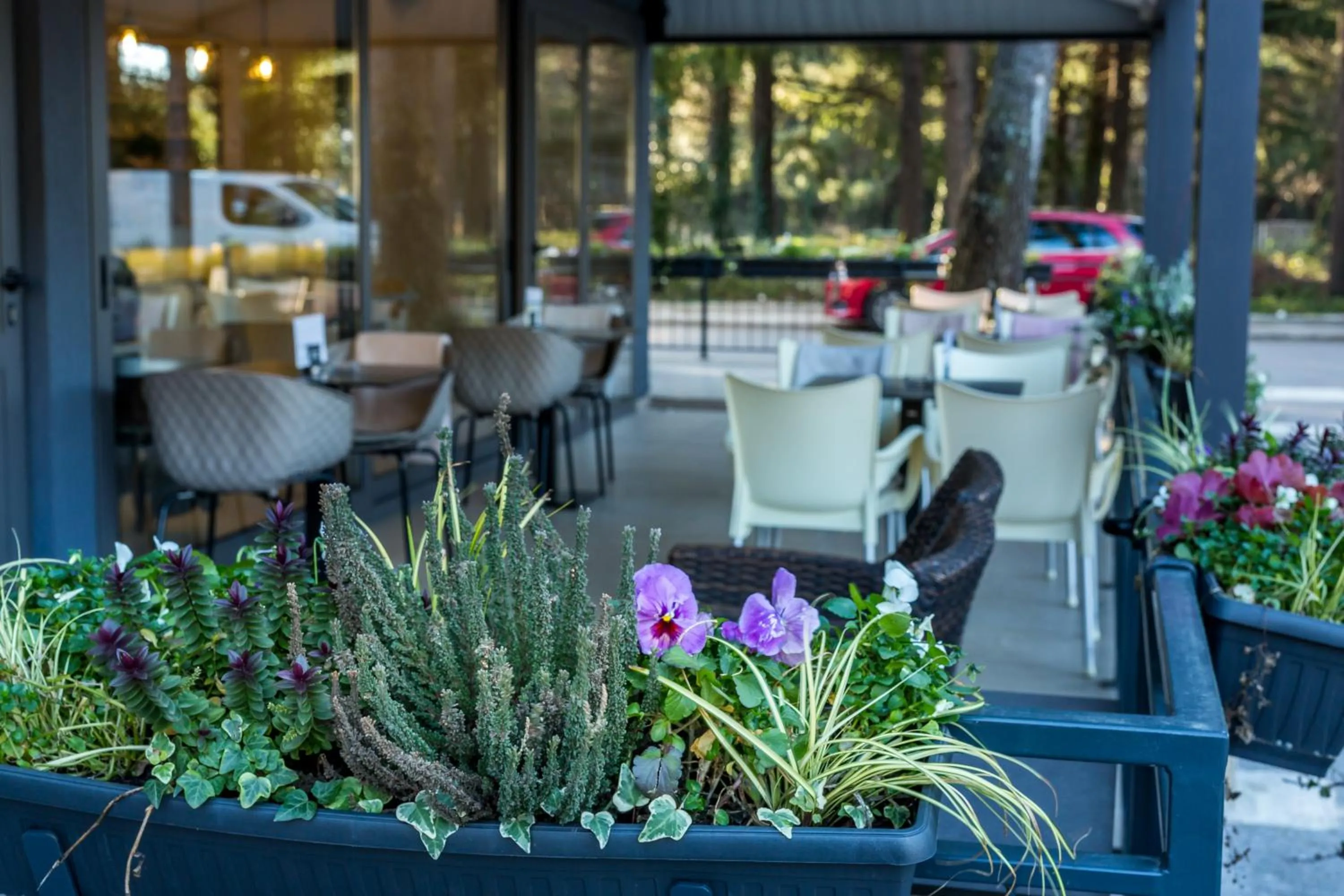 Restaurant/places to eat in Apartments & Rooms Preelook