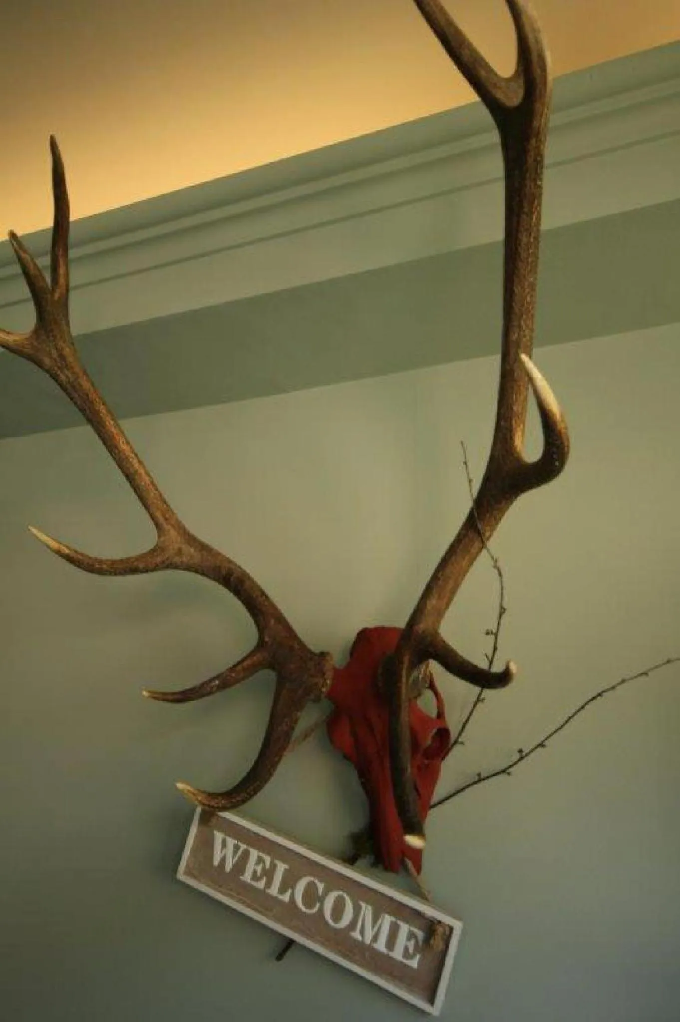 Decorative detail in Hotel Restaurant Strümper Hof