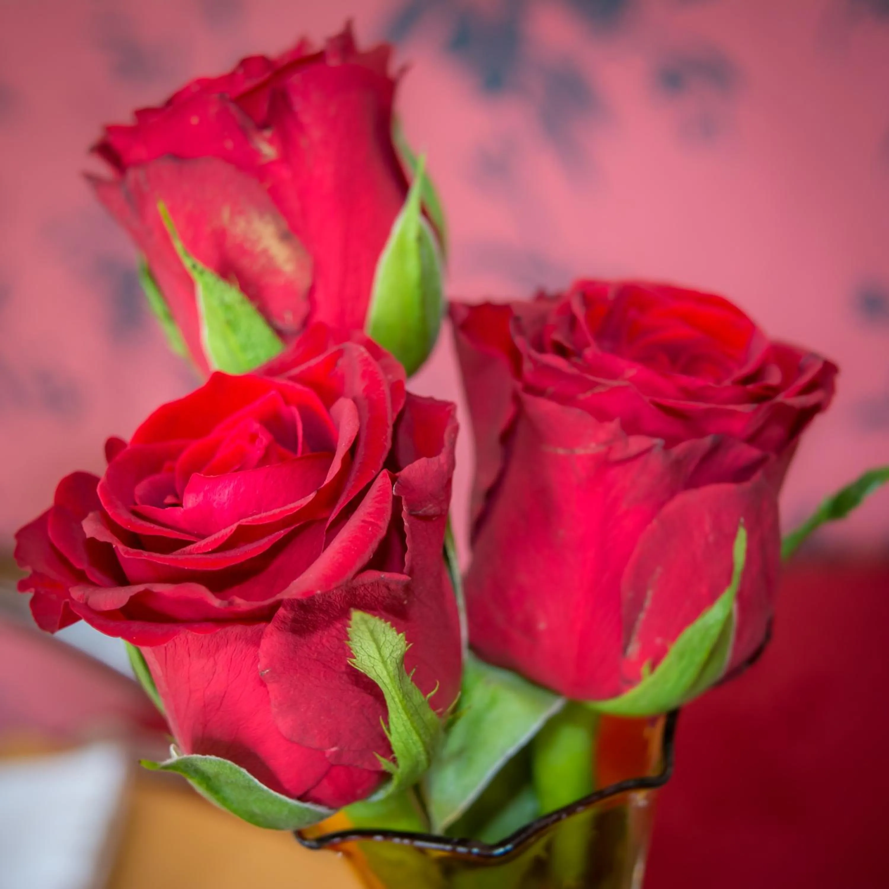 Dining area in Creston Villa Guest House
