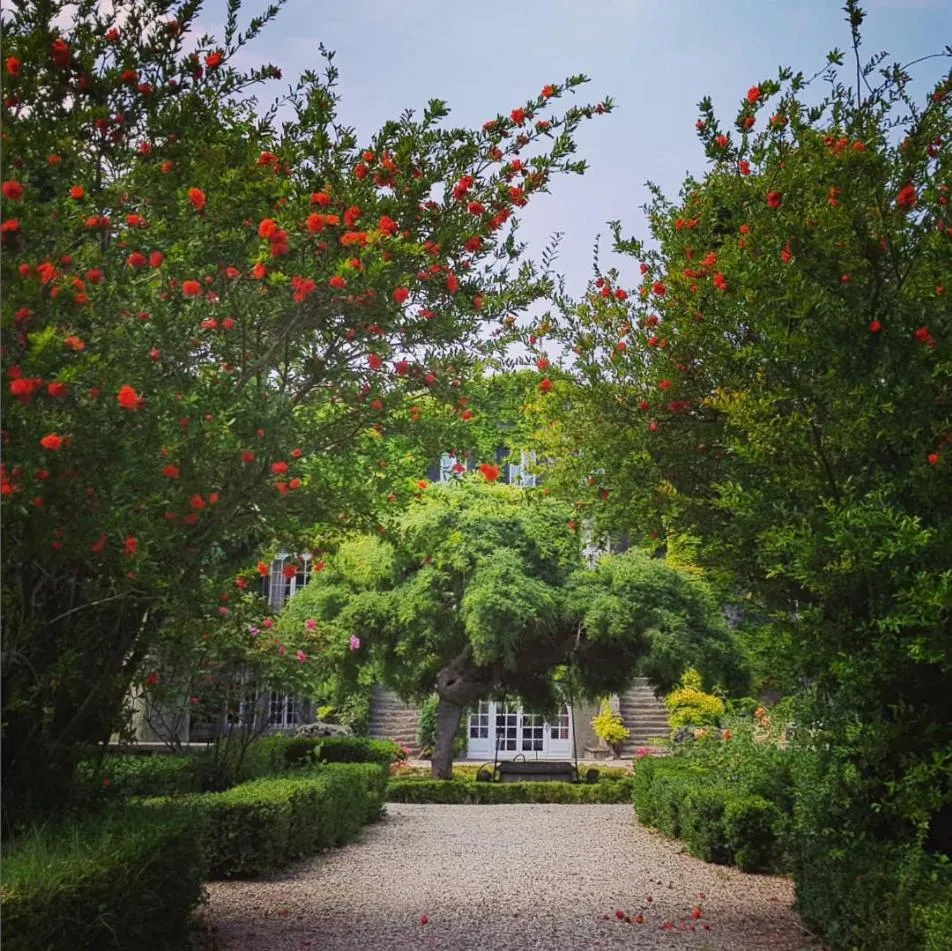 Spring in Château de Floure - SPA et piscine extérieure chauffée