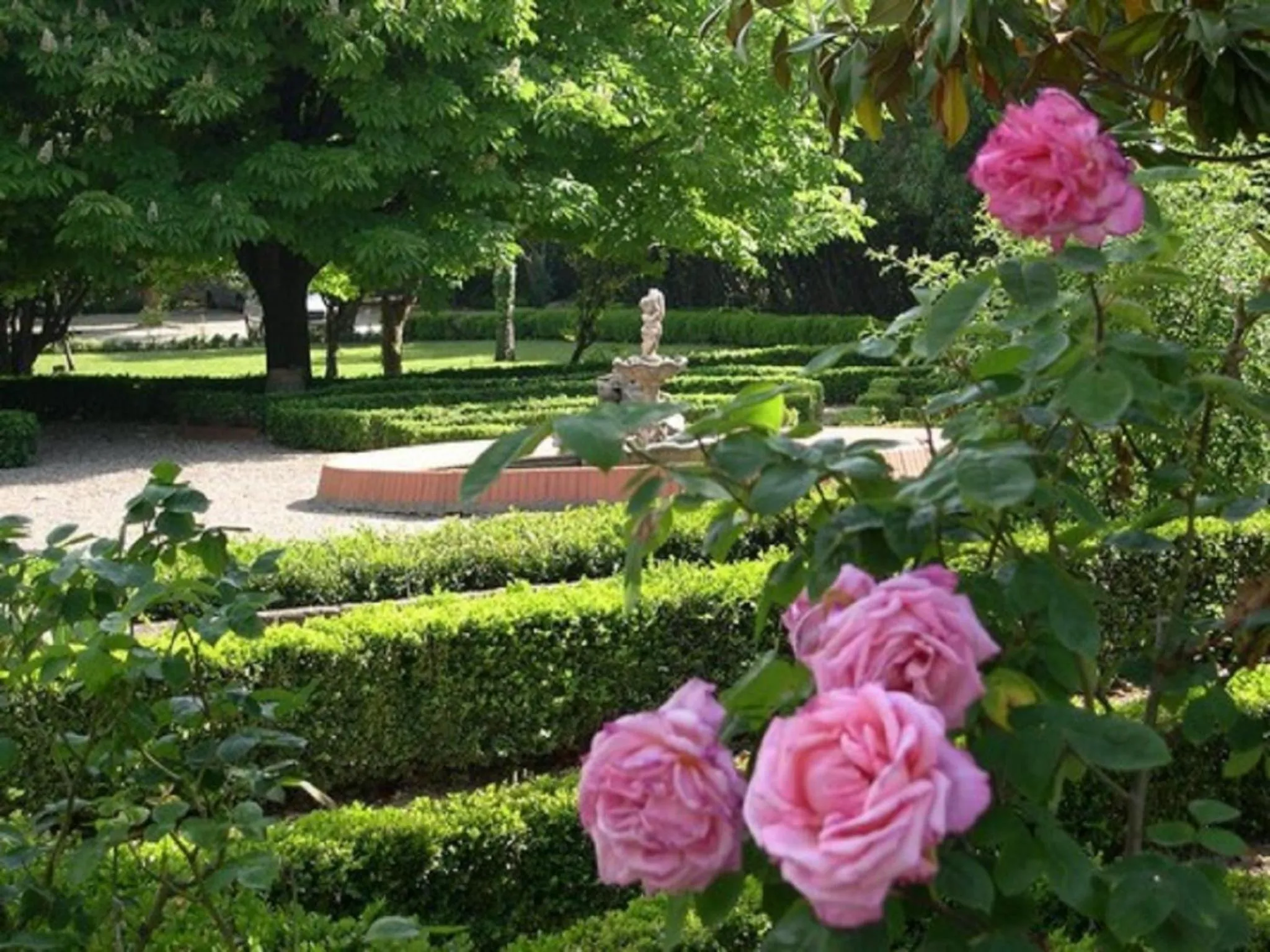 Garden in Château de Floure - SPA et piscine extérieure chauffée