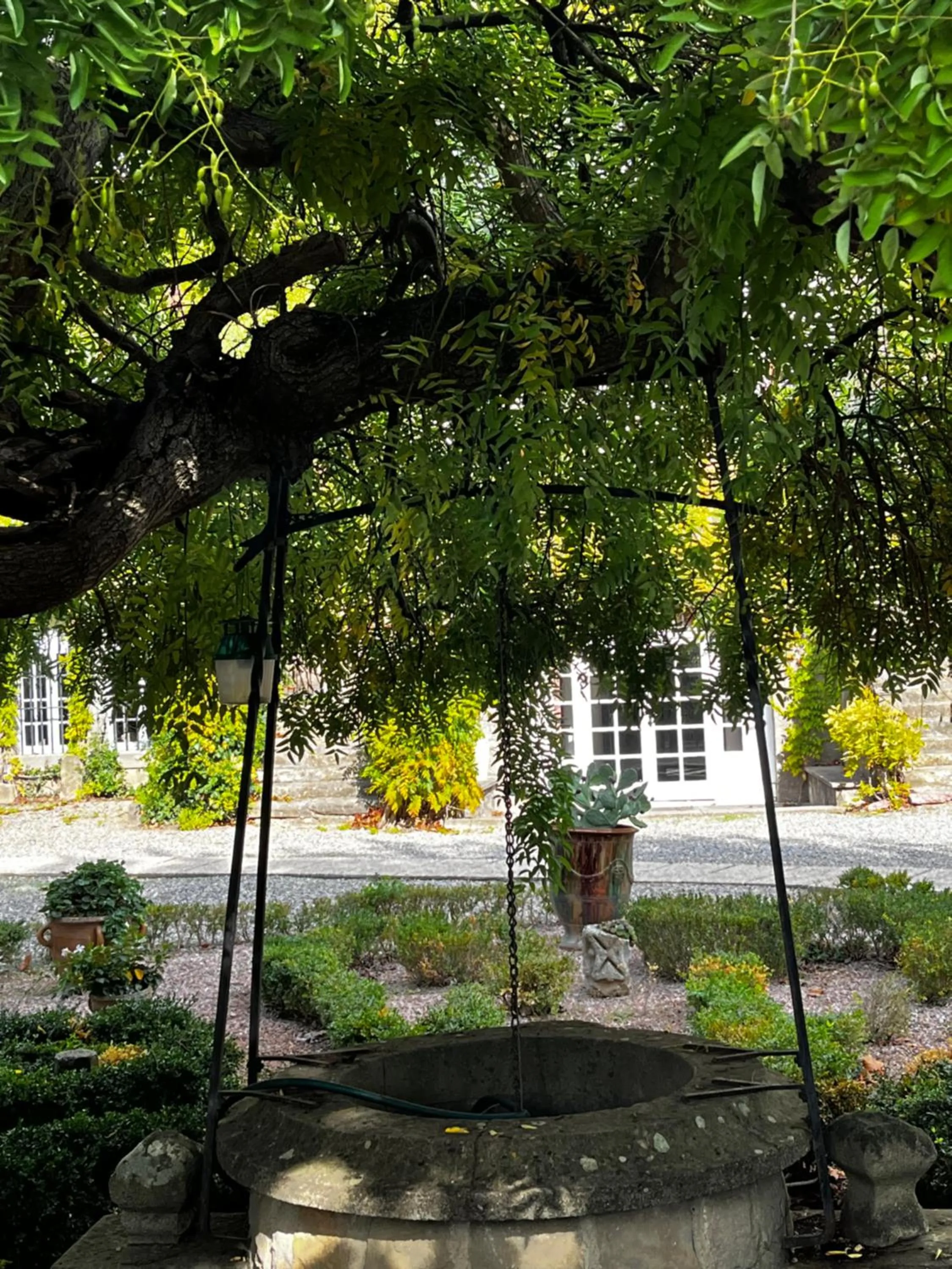 Garden in Château de Floure - SPA et piscine extérieure chauffée