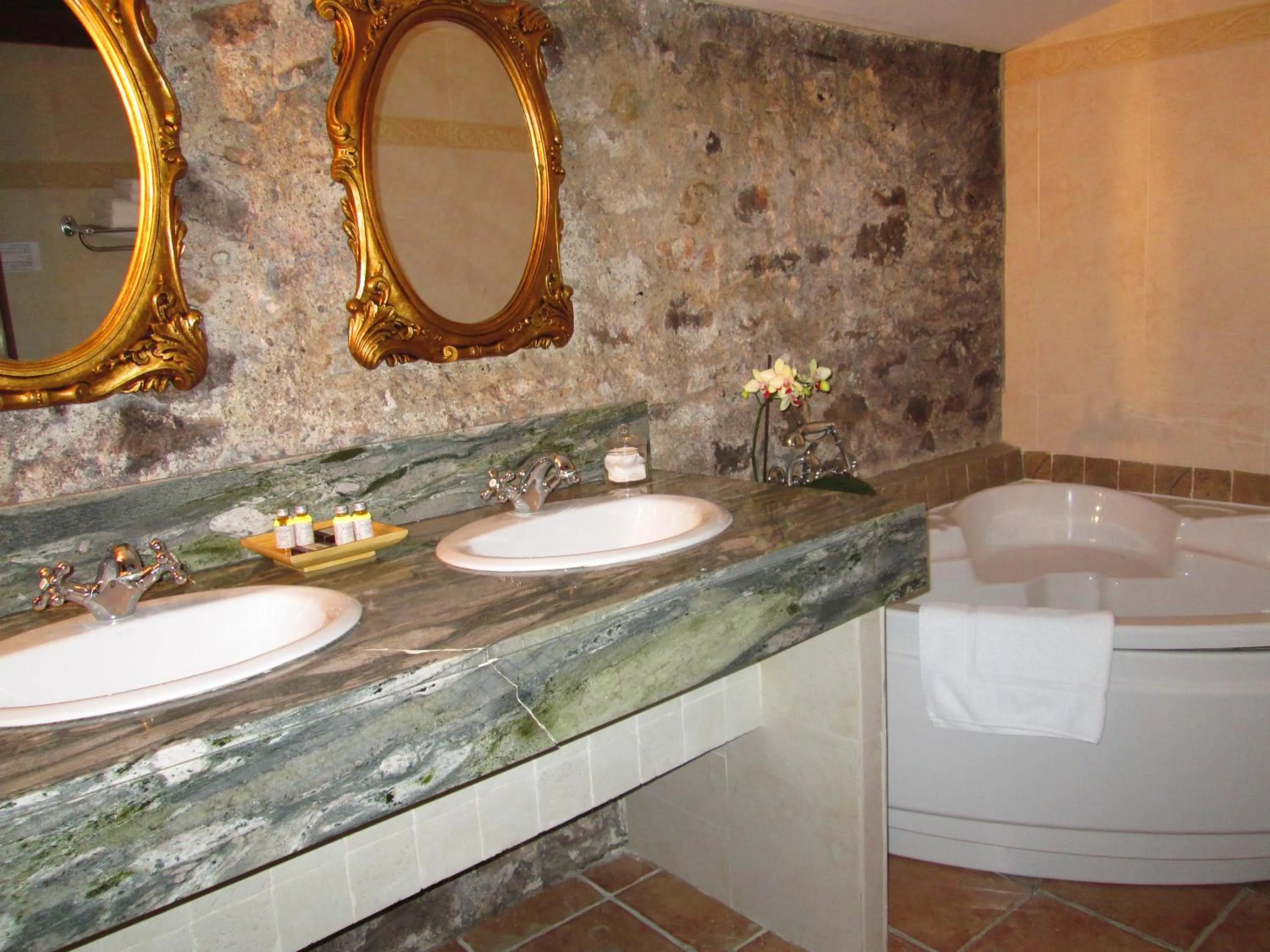 Bathroom in Château de Floure - SPA et piscine extérieure chauffée