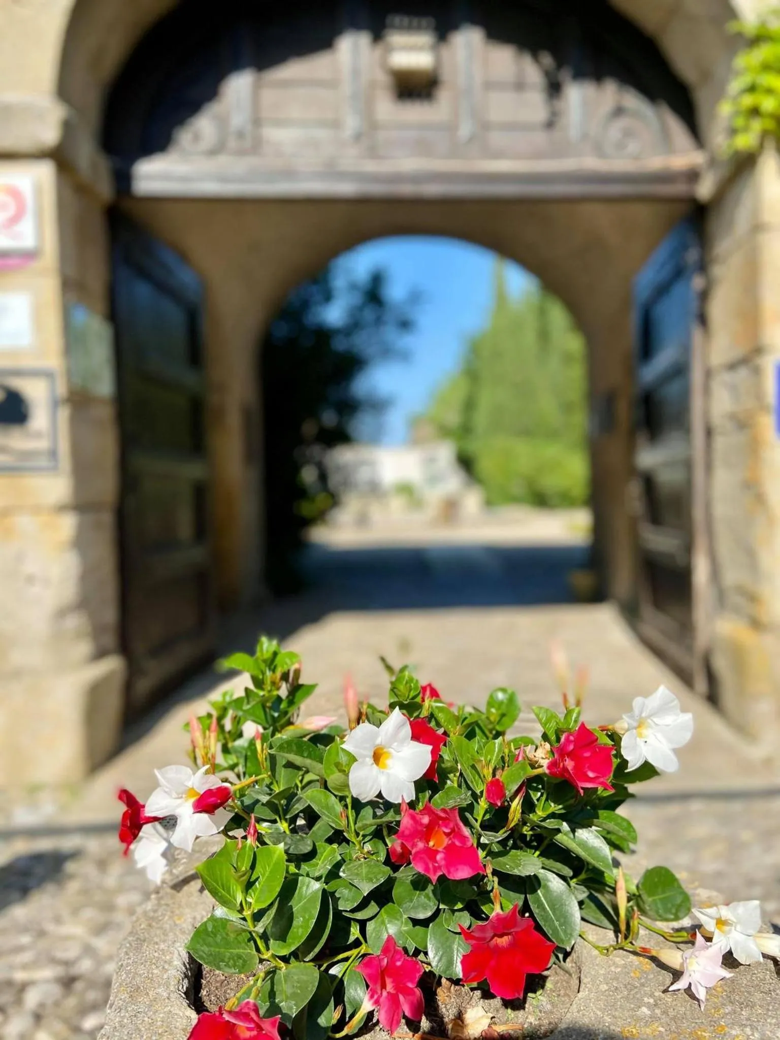 Spring in Château de Floure - SPA et piscine extérieure chauffée