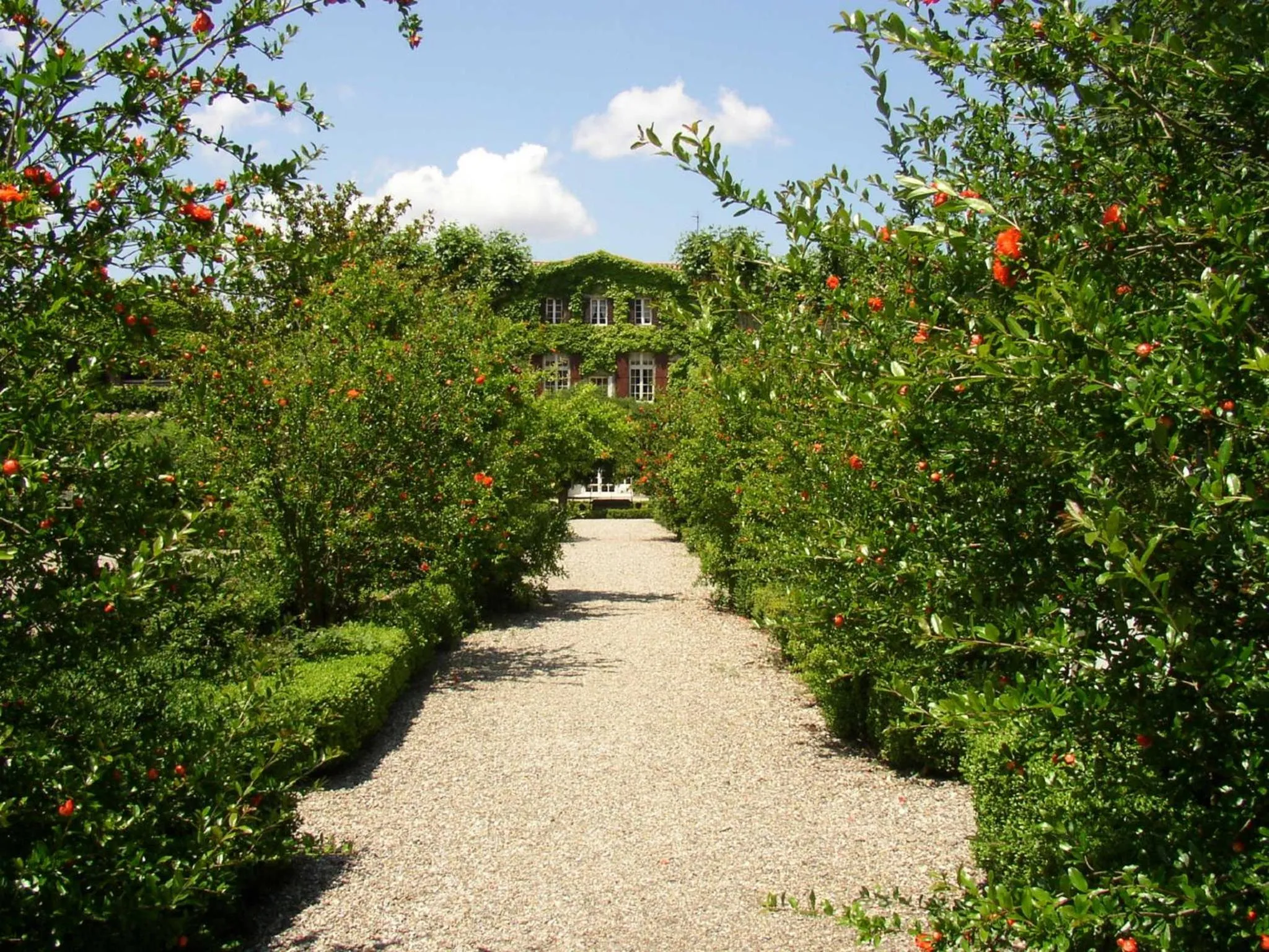 Garden in Château de Floure - SPA et piscine extérieure chauffée