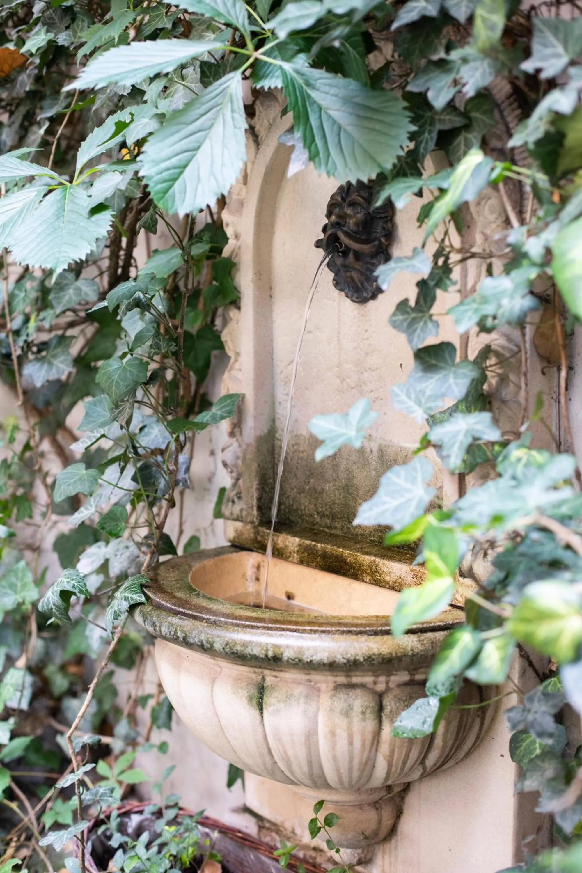 Garden in Gołębia 8 Residence