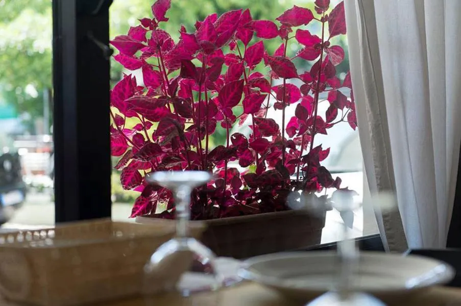 Hotel Annarita-mezza pensione plus- spiaggia inclusa