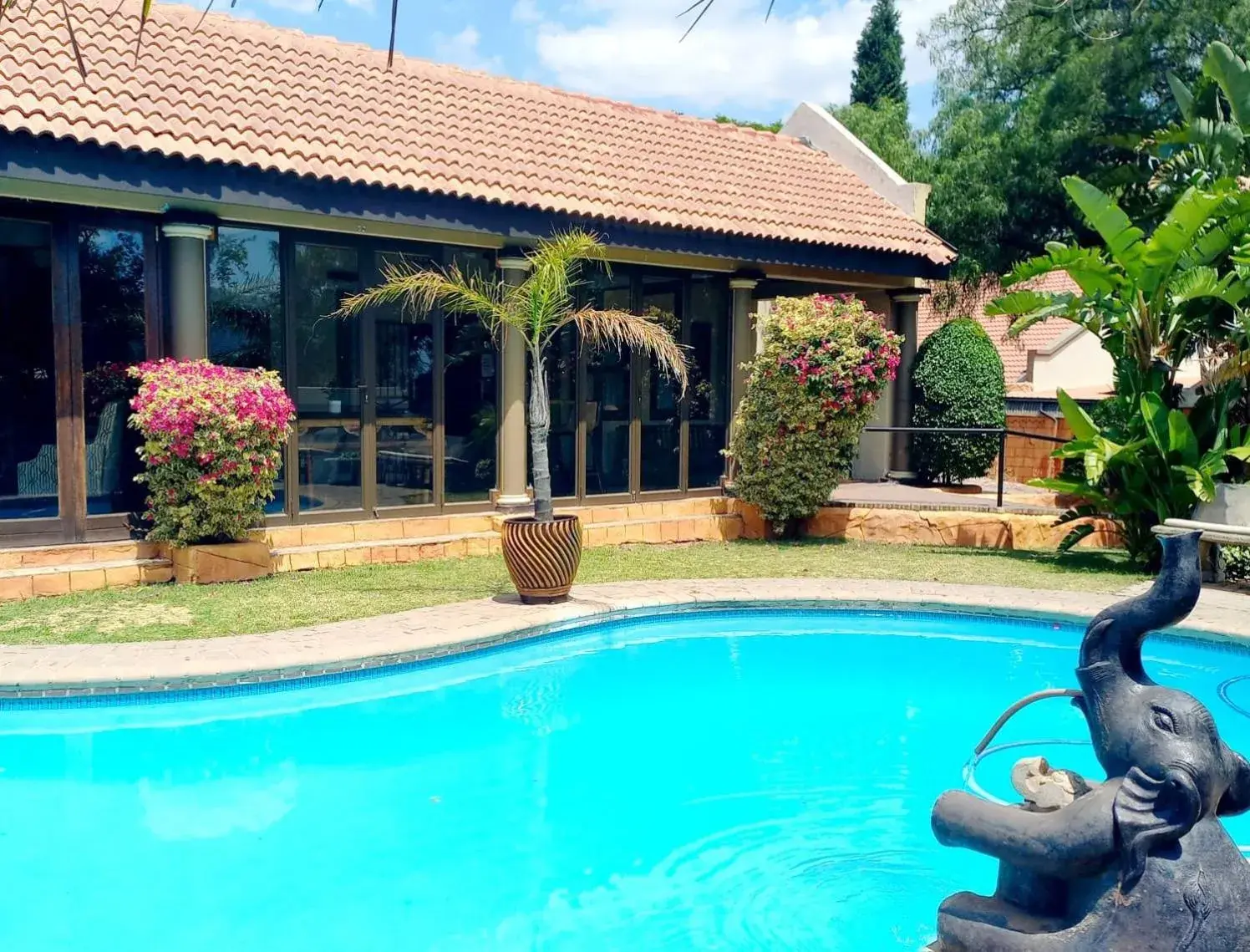 Swimming pool in Midrand Conference Centre Swimming pool in Midrand Conference Centre