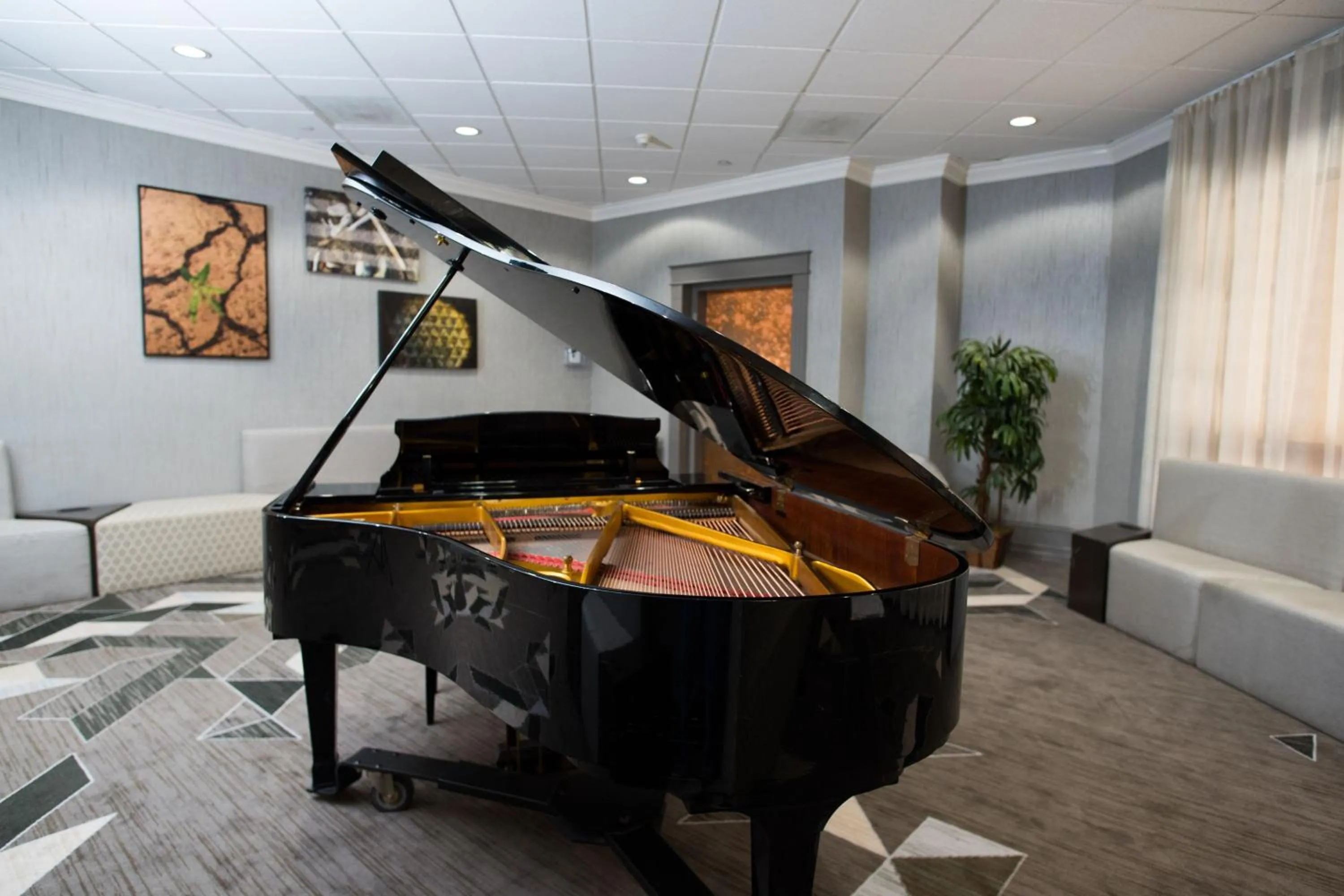 Other in Sheraton Tucson Hotel & Suites