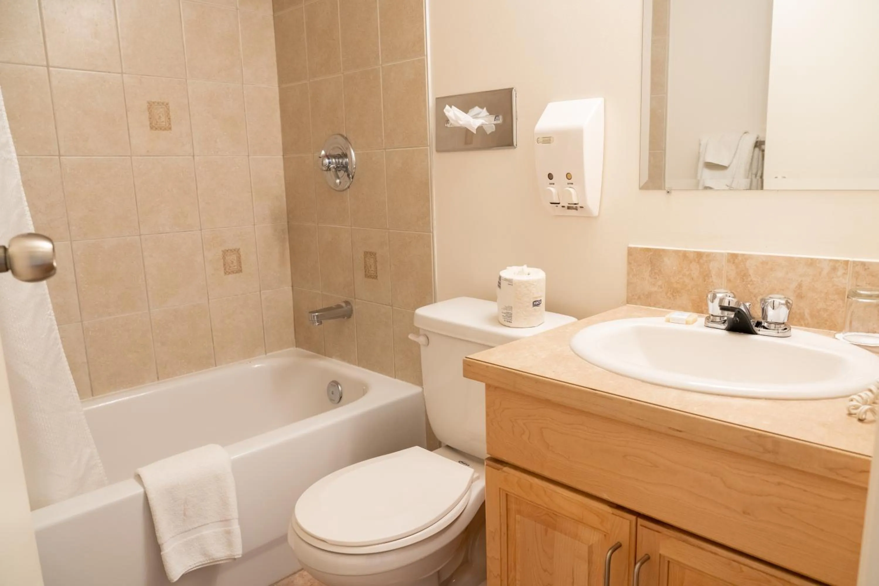 Bathroom in Rocky Mountain Ski Lodge