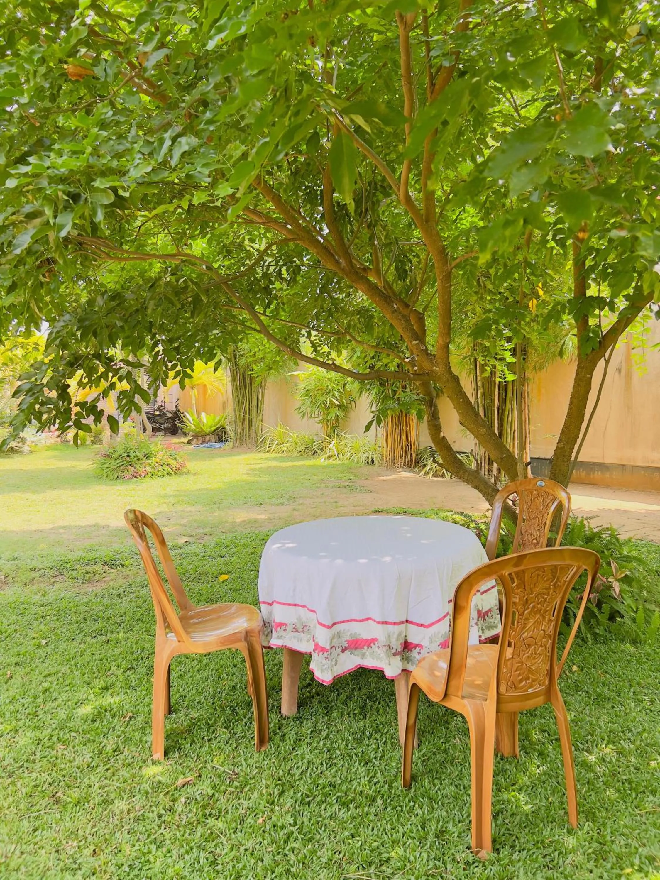 Garden in Sevenday Hotel