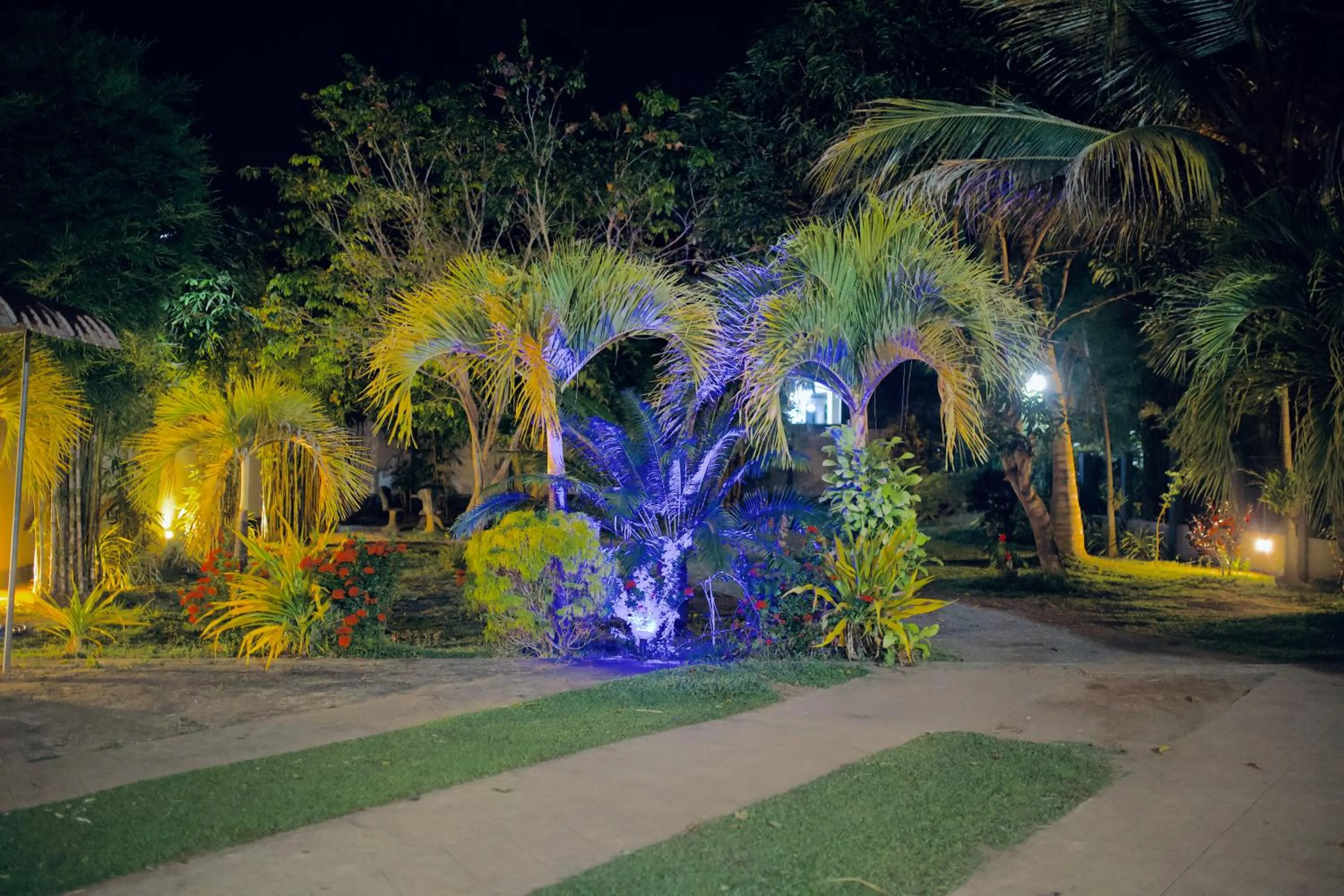 Night in Sevenday Hotel