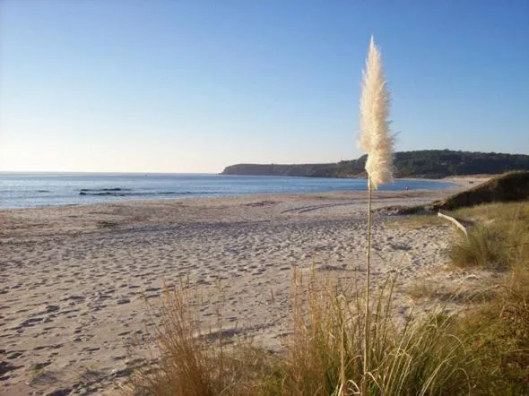 Beach in Hotel Mar Azul