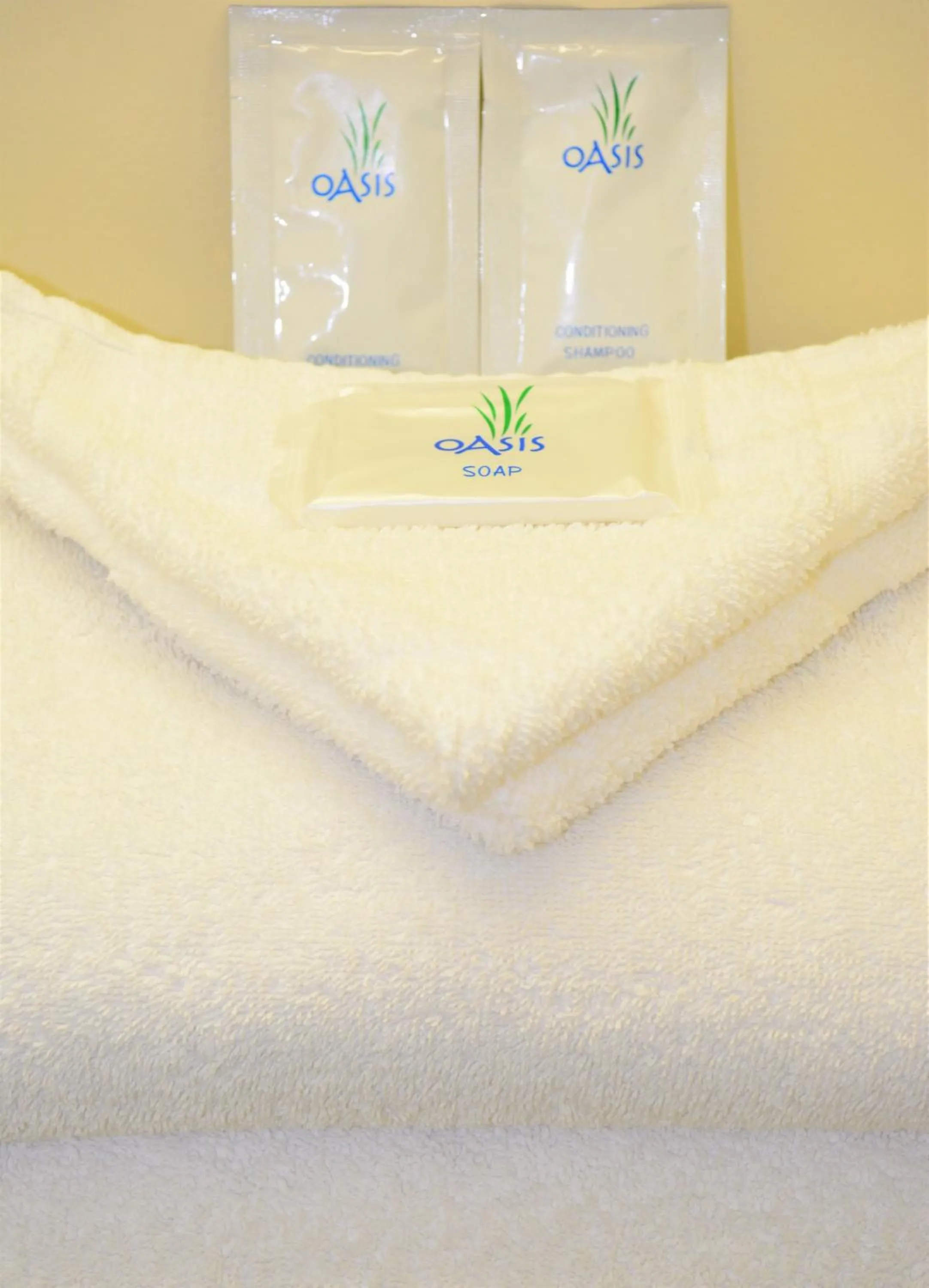 Bed in Budget Inn Falls Church