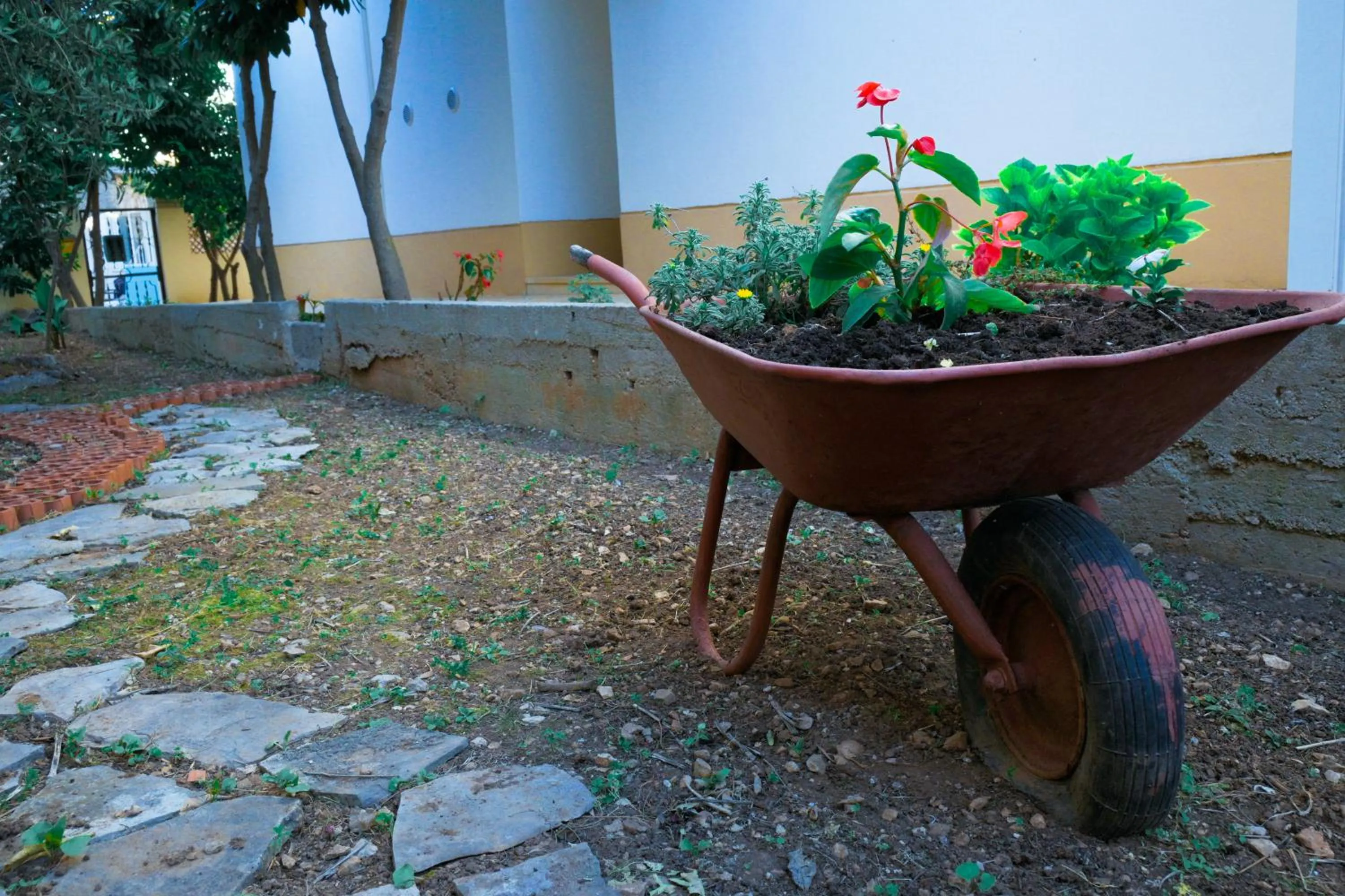 Spring in B&B Aurora