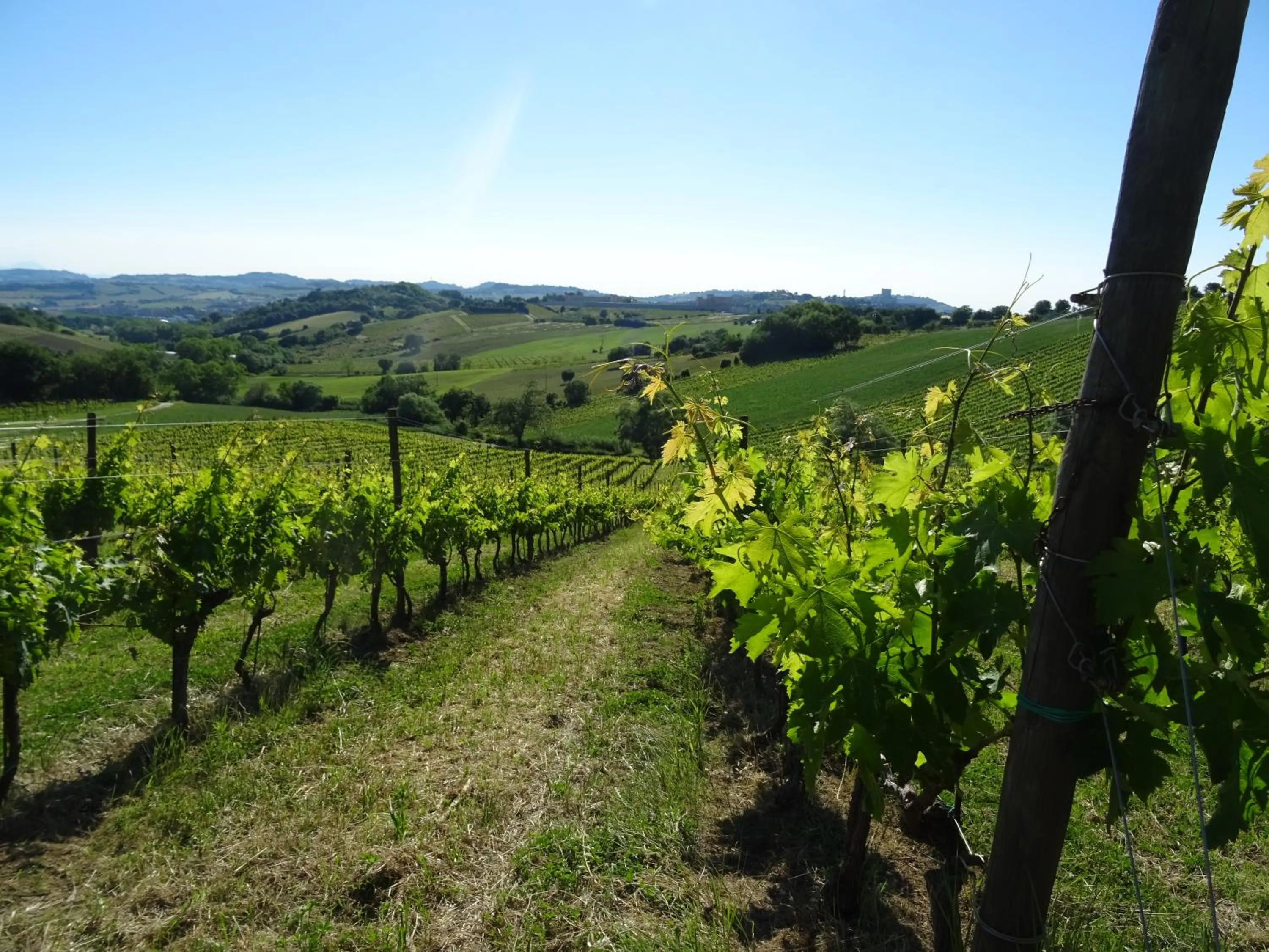 Natural landscape in Hotel La Ruota Dei Pavoni