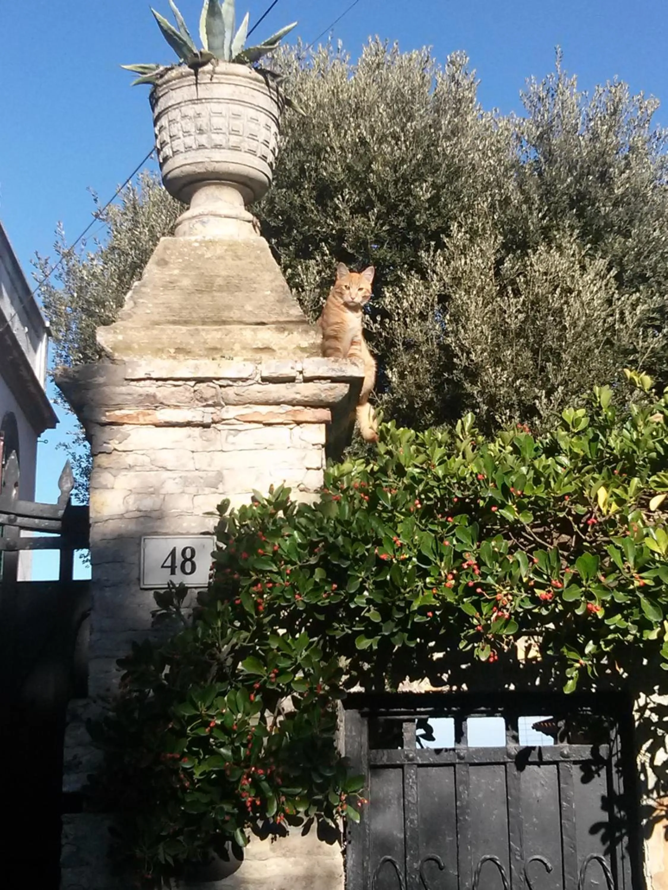 Facade/entrance in D'AGO48