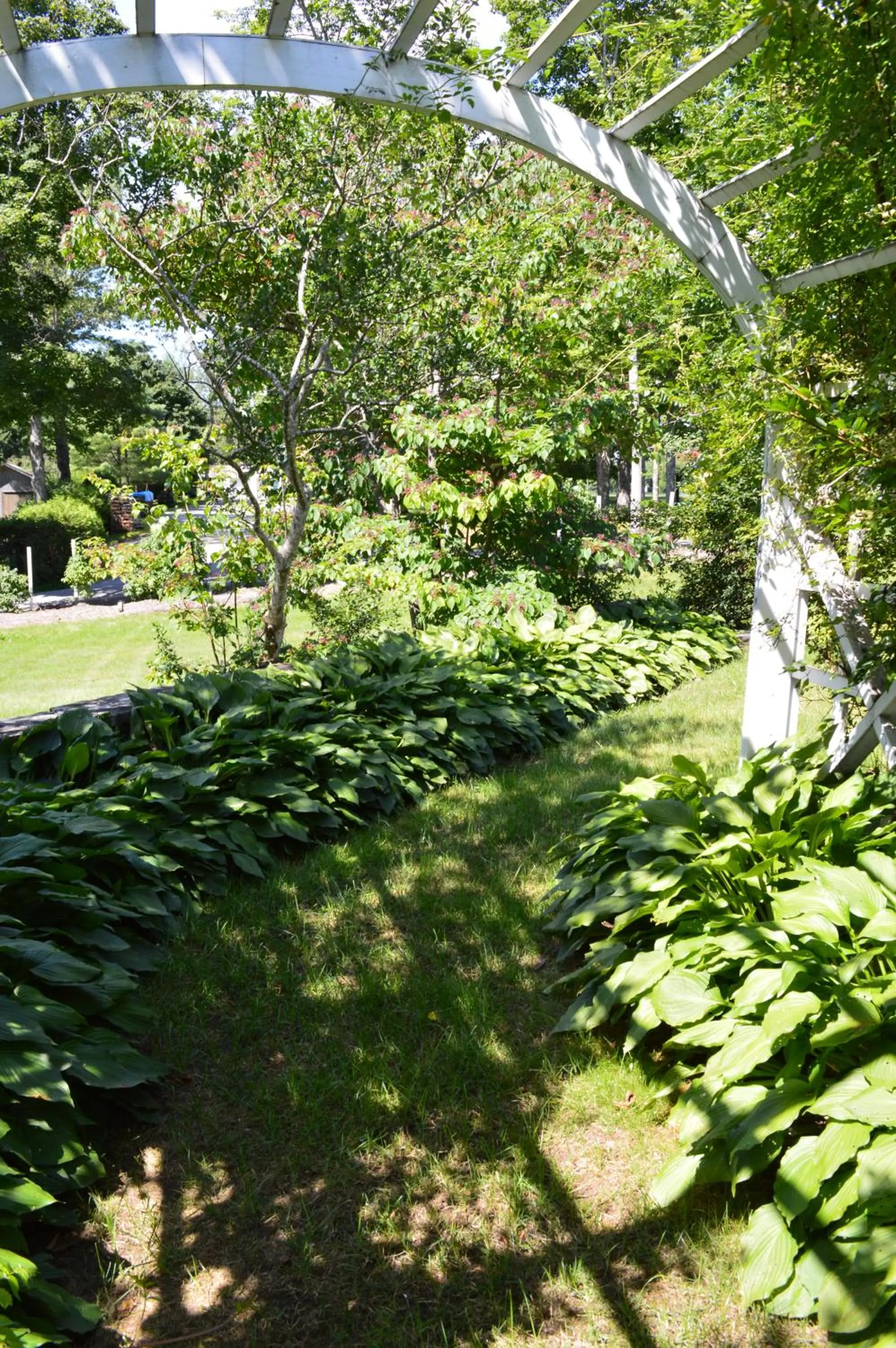 Day in The Brewster Inn