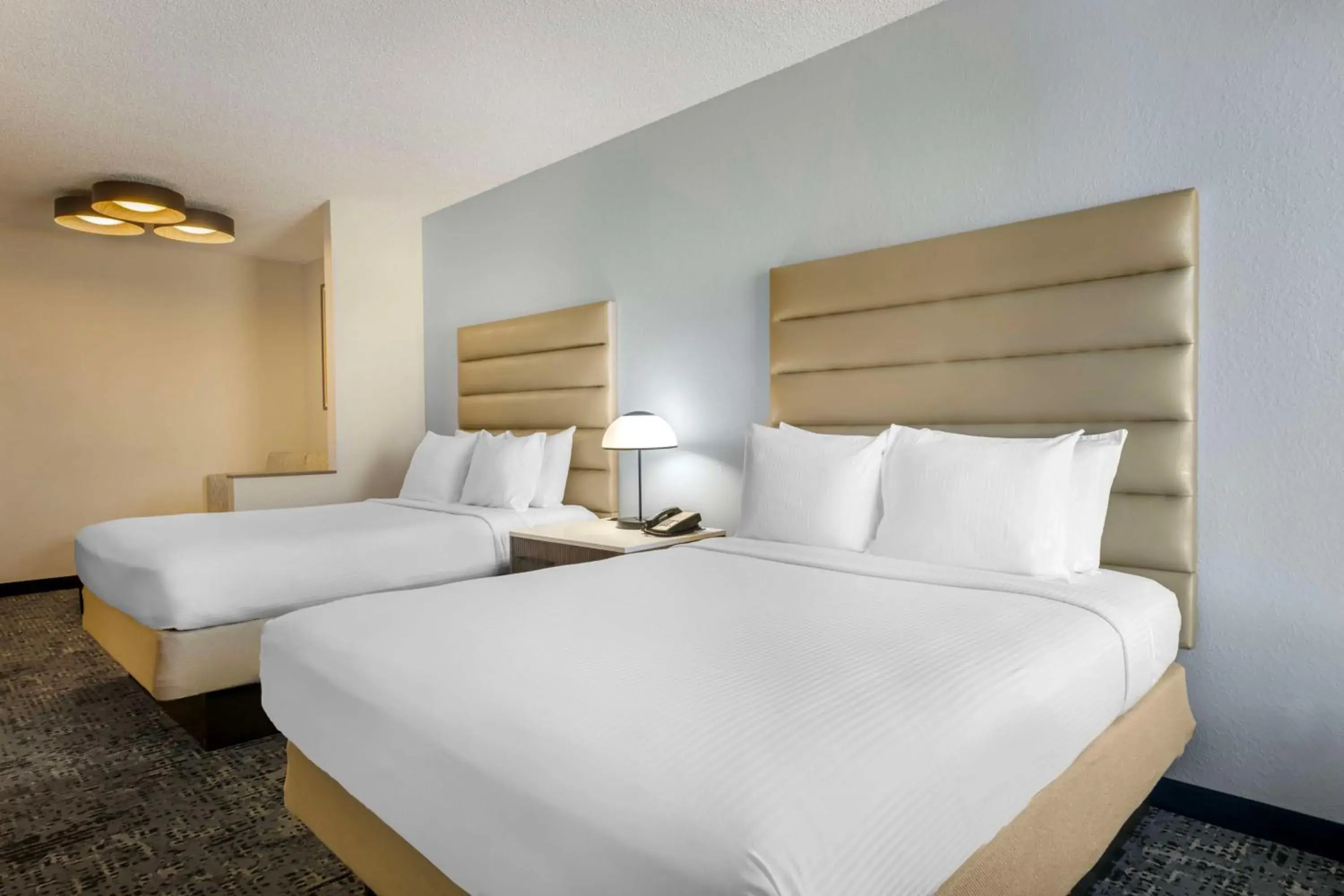 Bedroom, Bed in Best Western Plus Universal Inn - Free Shuttle to Universal Studios! Bedroom, Bed in Best Western Plus Universal Inn - Free Shuttle to Universal Studios!