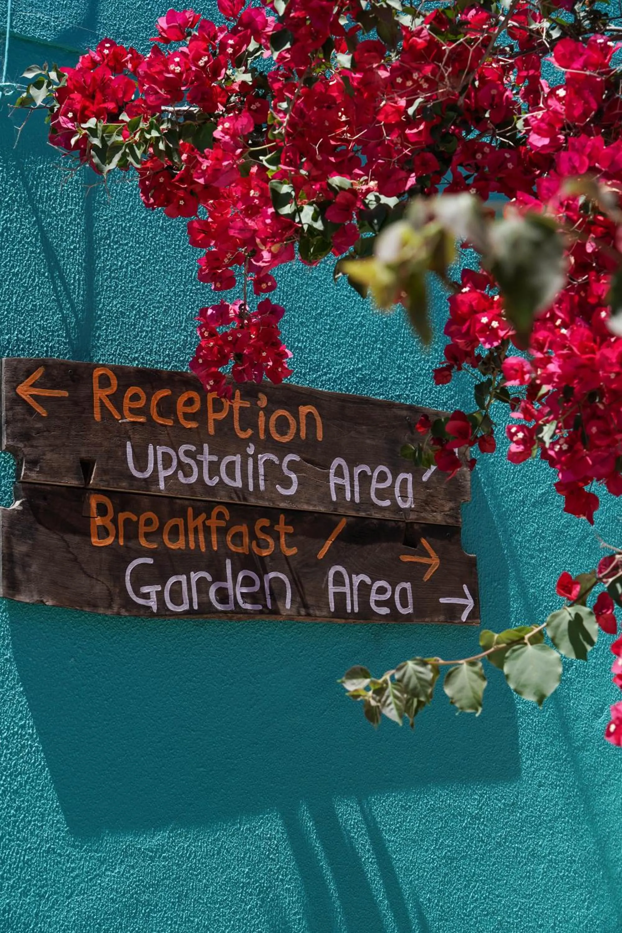 Decorative detail in Natural Mystic Hostel