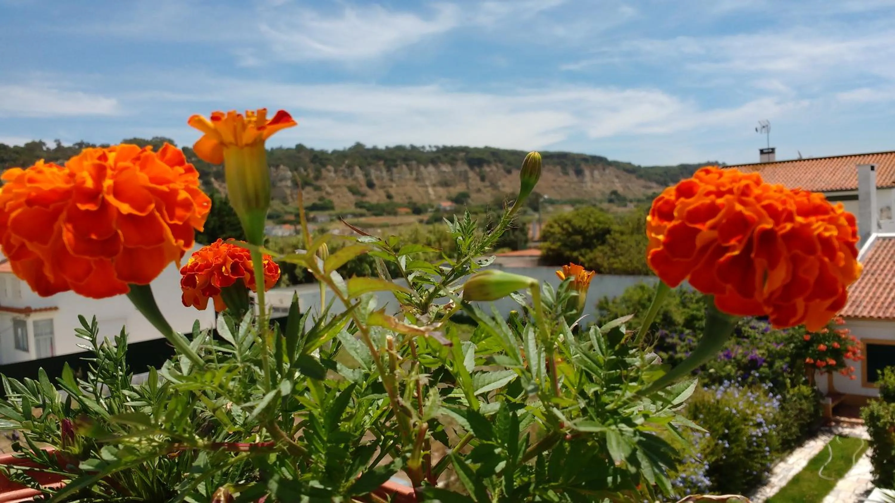 Garden in Natural Mystic Hostel