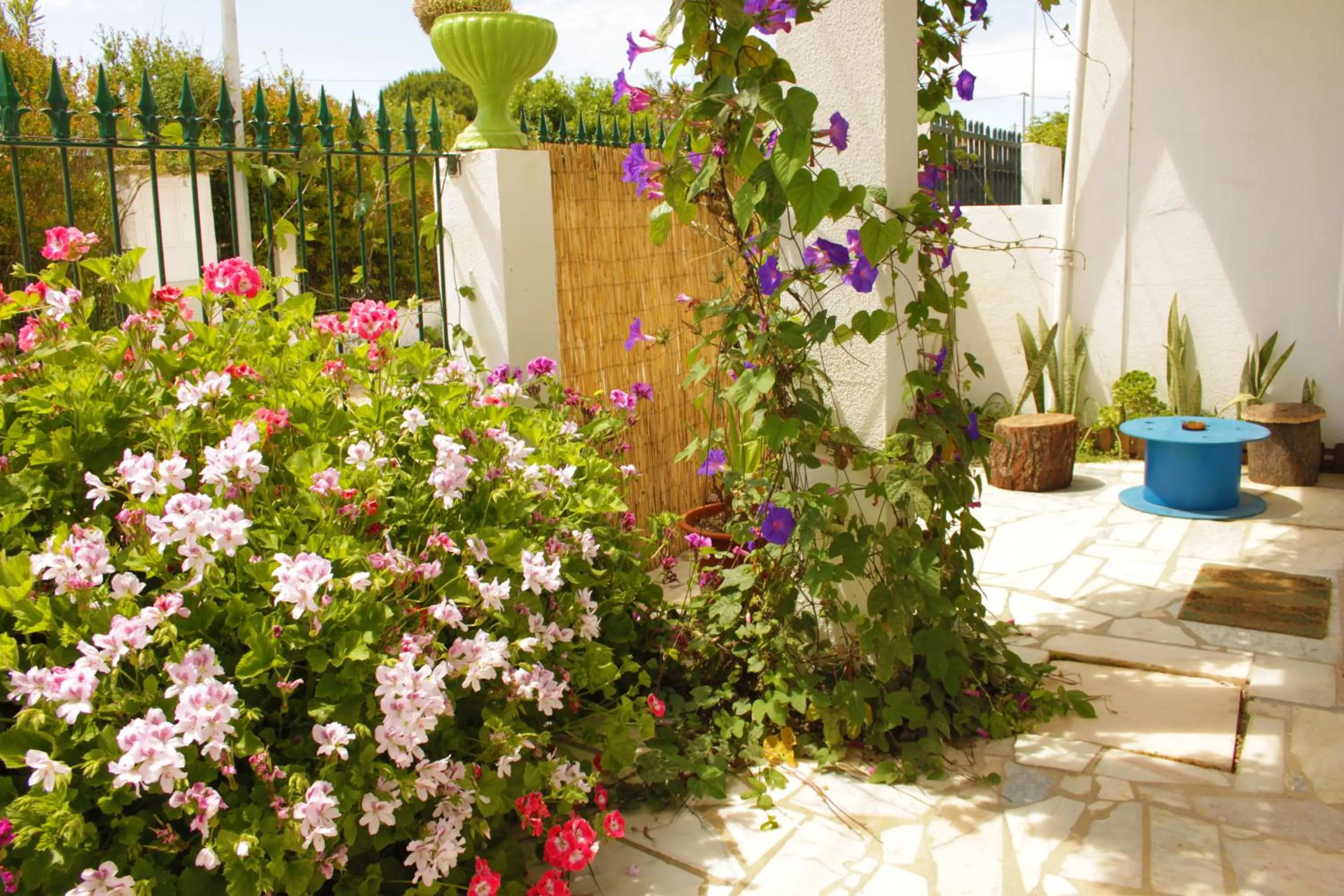 Garden in Natural Mystic Hostel