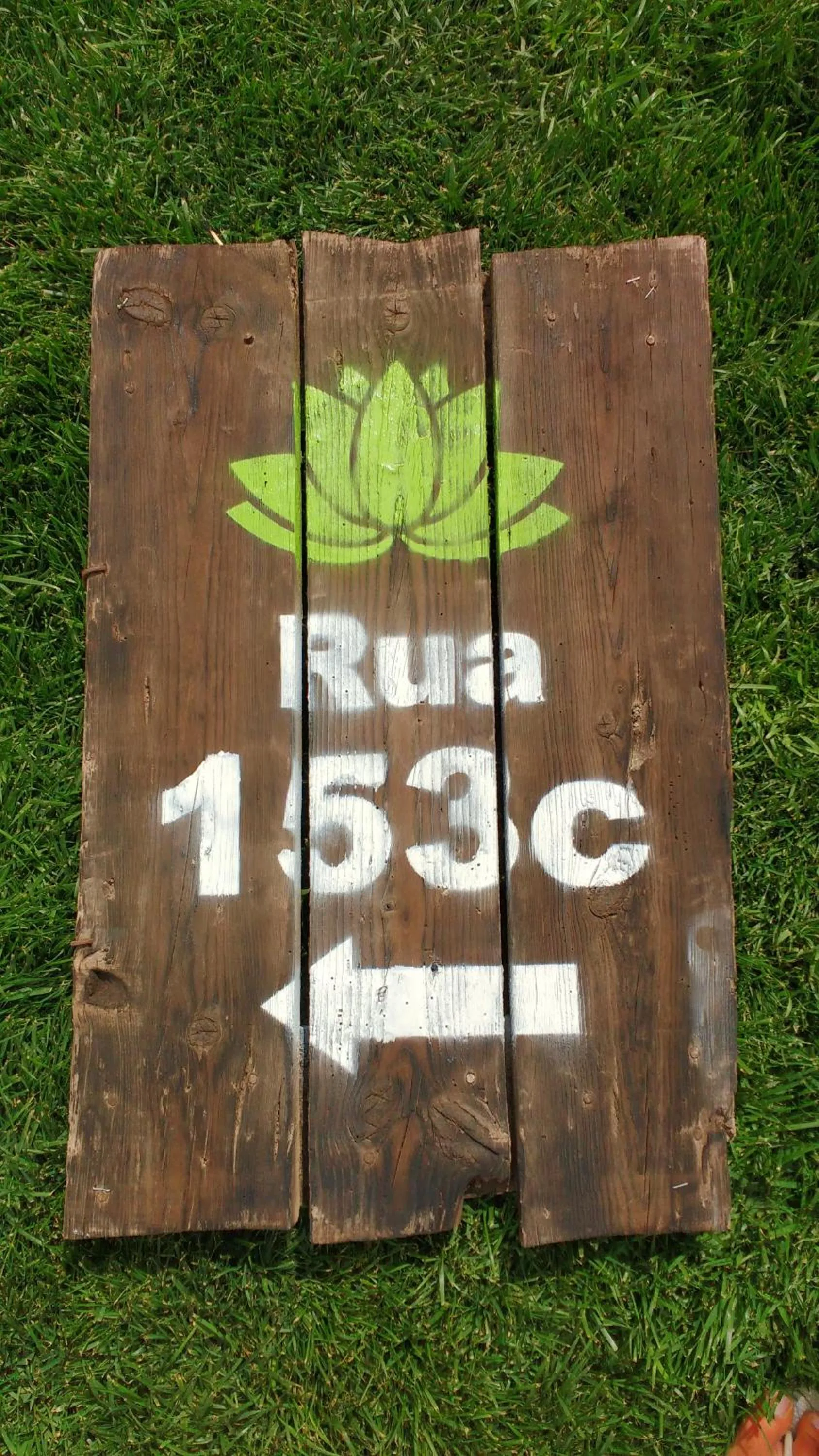 Decorative detail in Natural Mystic Hostel