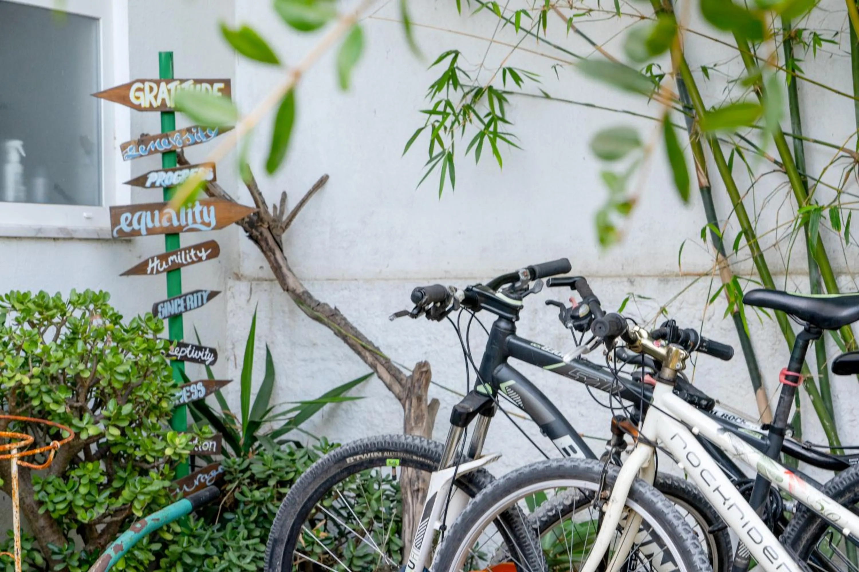 Cycling in Natural Mystic Hostel