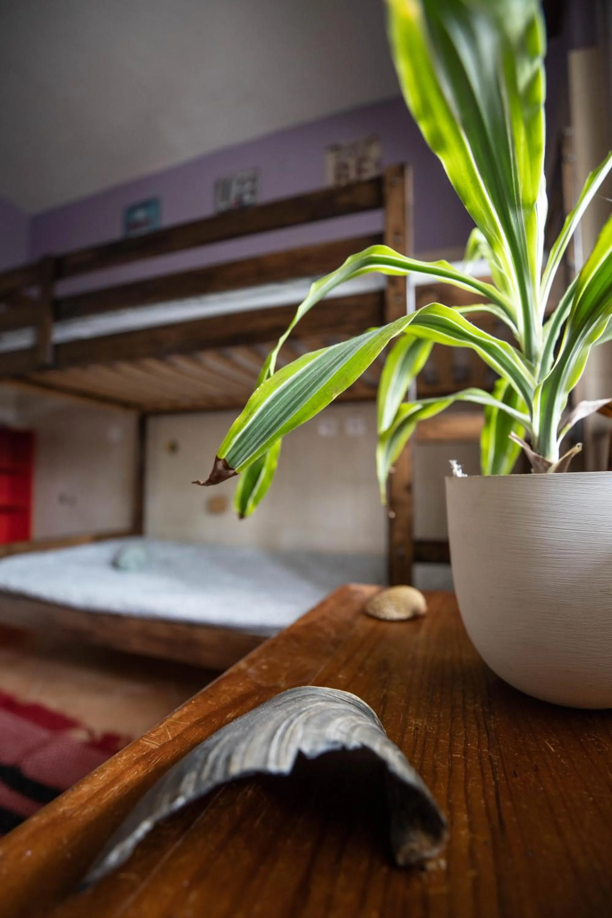 Bedroom, Bed in Natural Mystic Hostel
