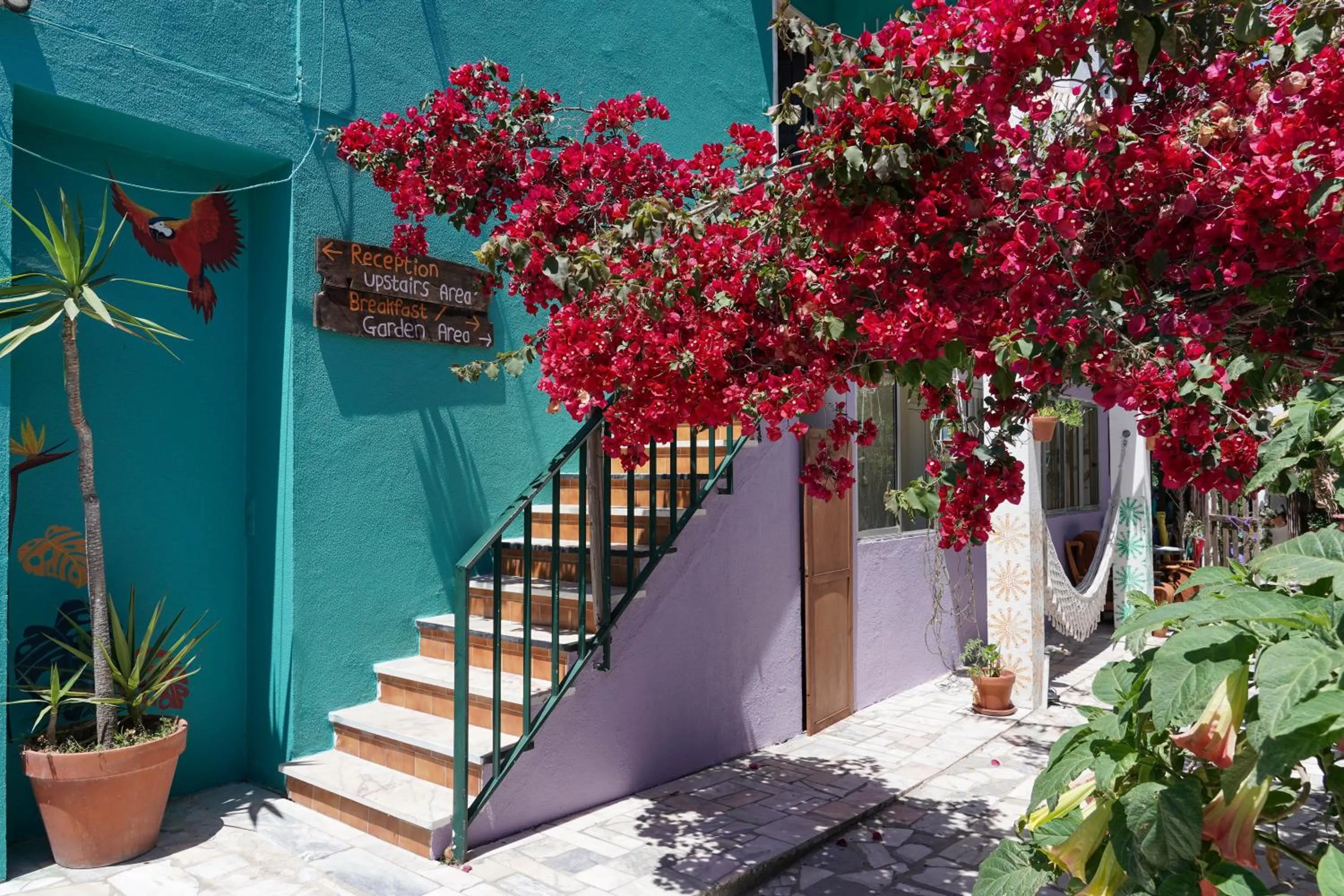 Facade/entrance in Natural Mystic Hostel