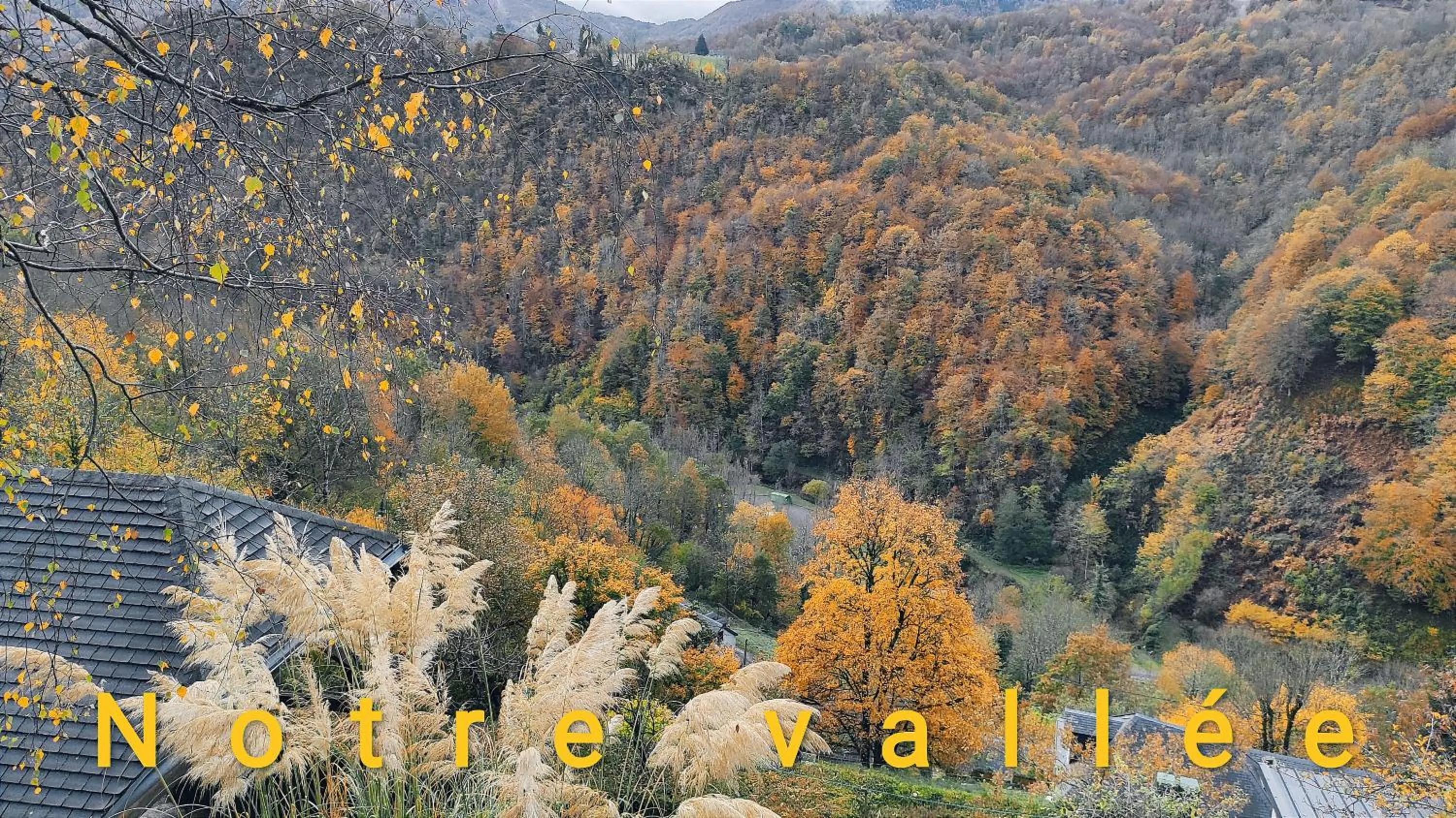 Neighbourhood in Skymist Maison d'hôtes