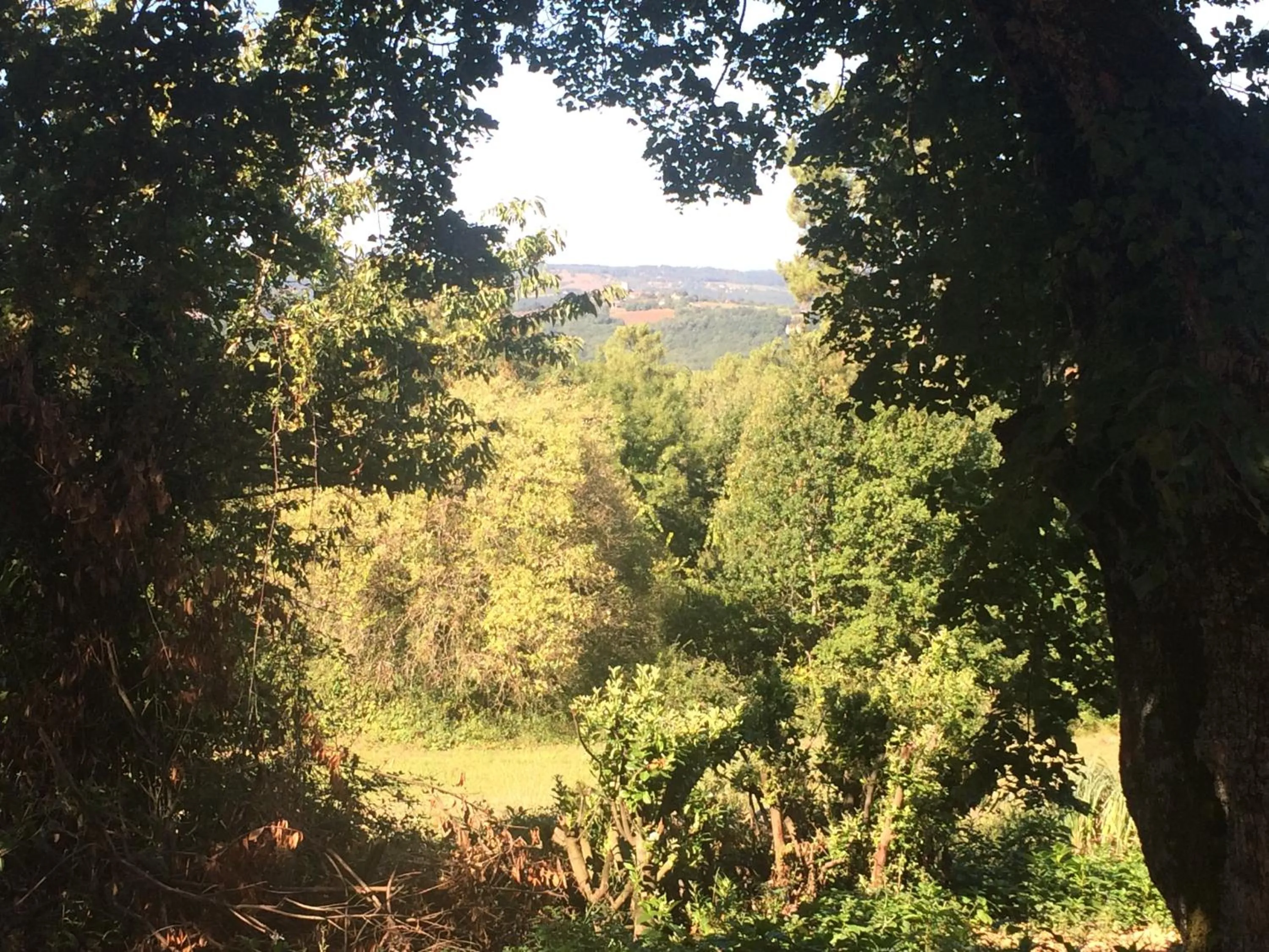 Garden in Chambre Romantique