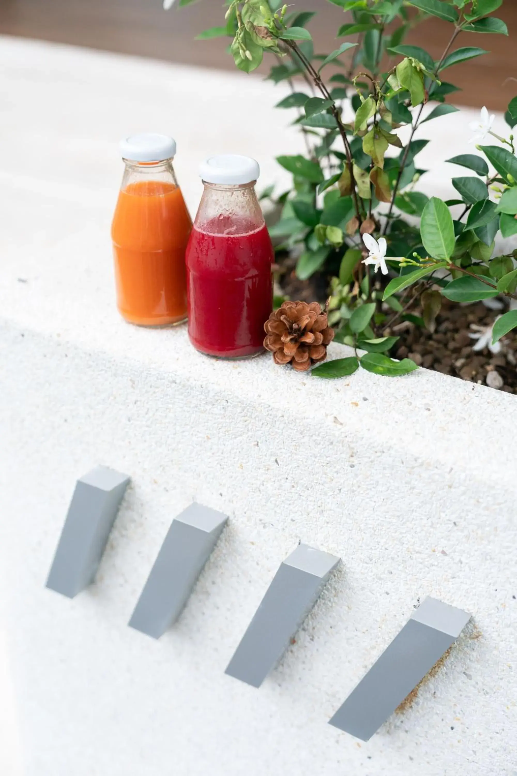 Restaurant/places to eat in The Verandah - SHA Extra Plus Restaurant/places to eat in The Verandah - SHA Extra Plus