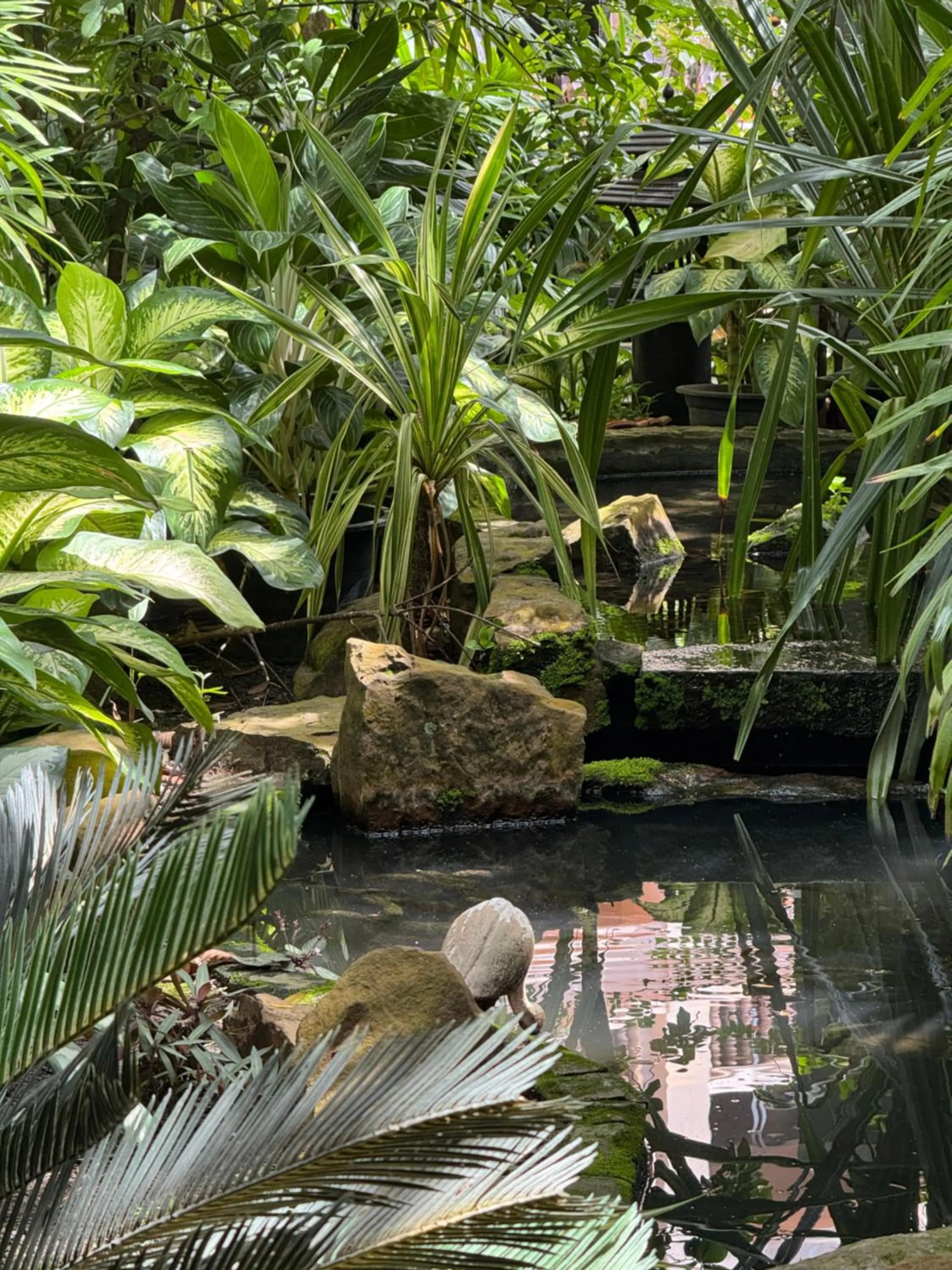 Garden in Hotel Somadevi Angkor Resort & Spa