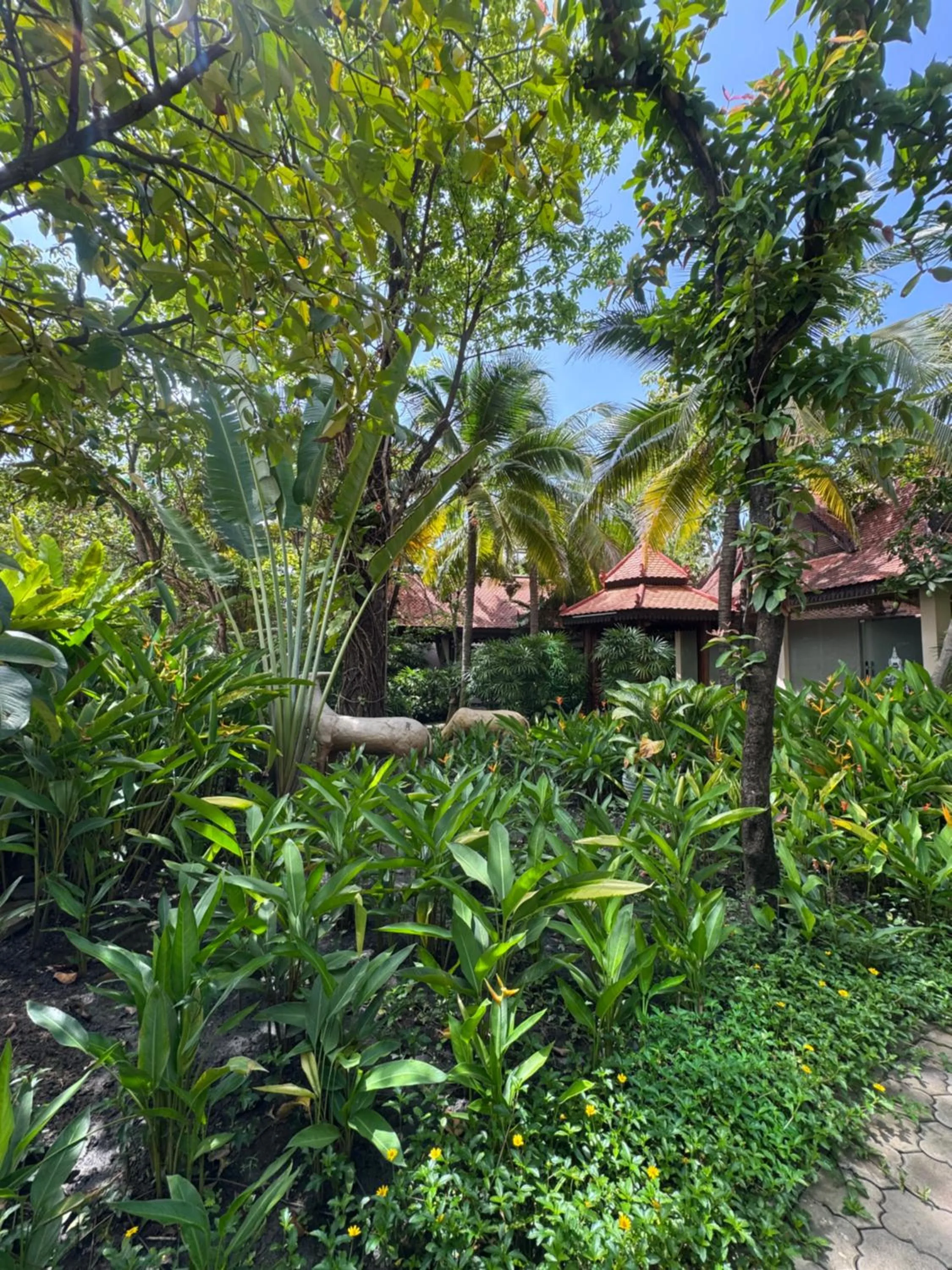 Garden in Hotel Somadevi Angkor Resort & Spa