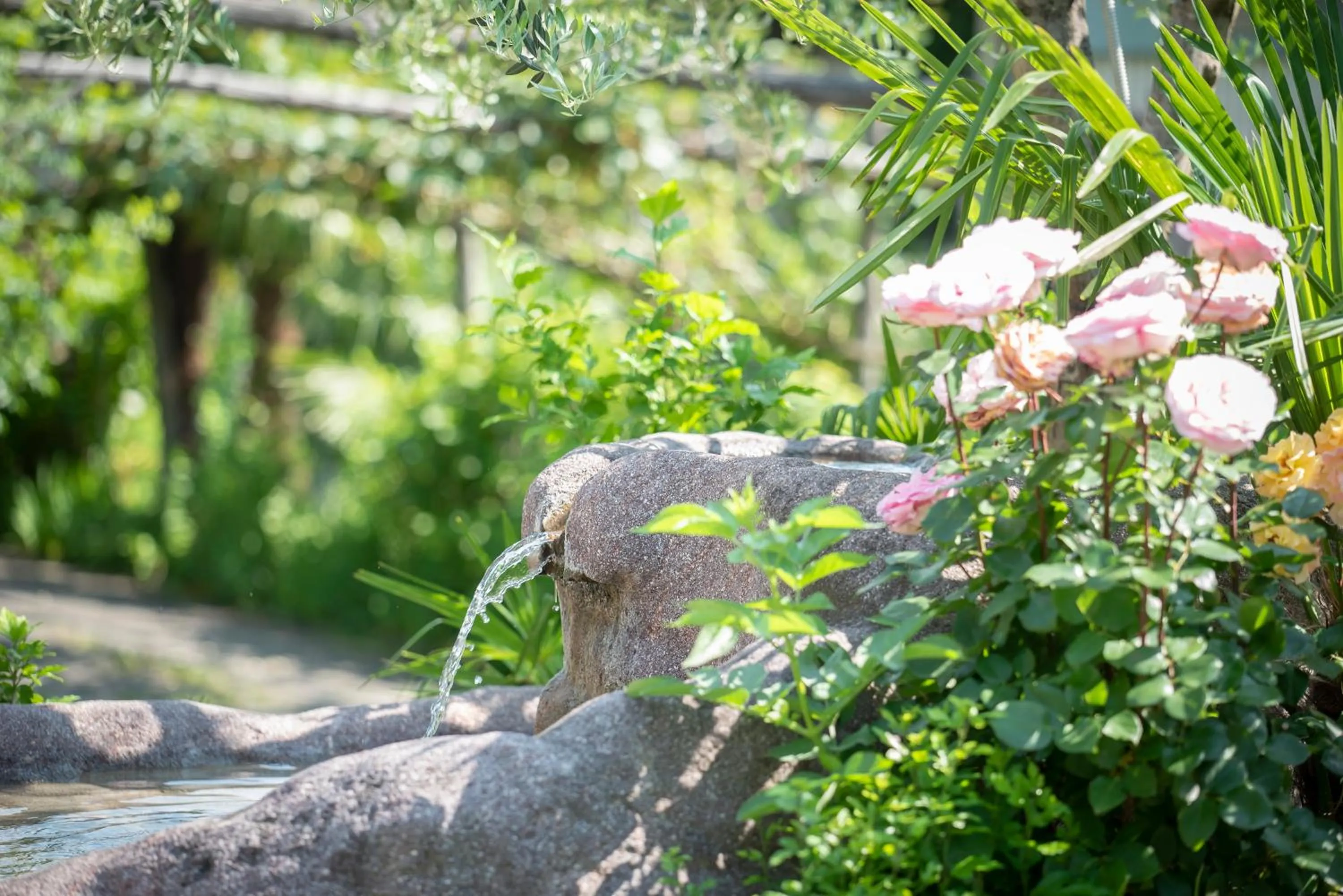 Garden in Glanzhof Hotel & Apartments