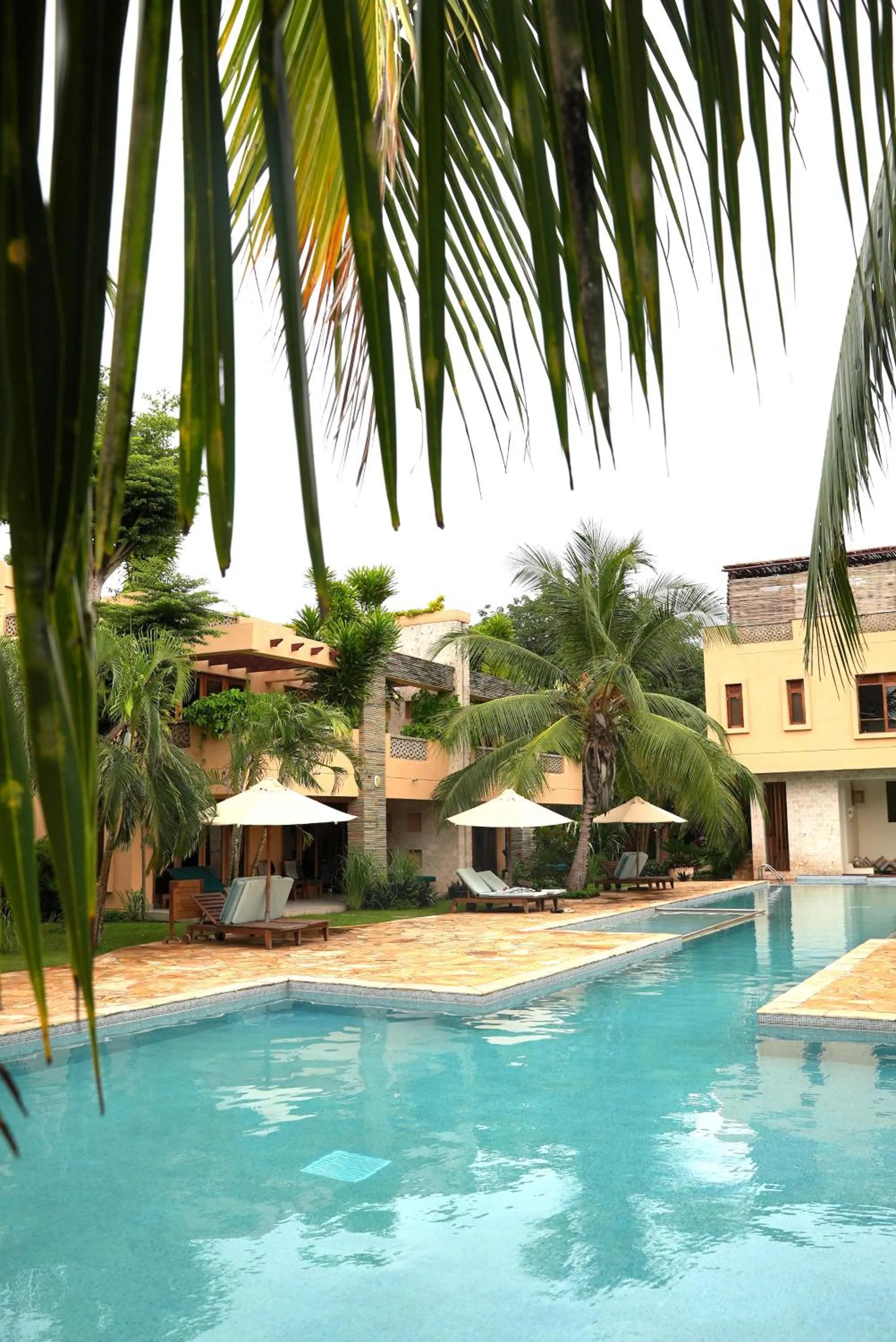 Swimming pool in Villa Mandhari - Diani Beach