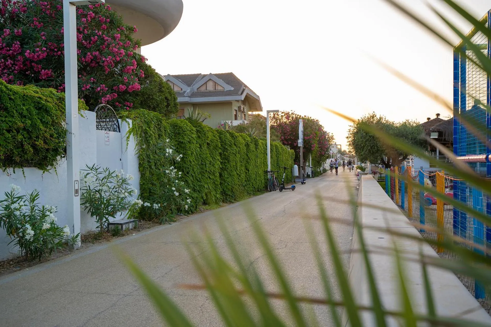 Summer in Hotel Mare Blu