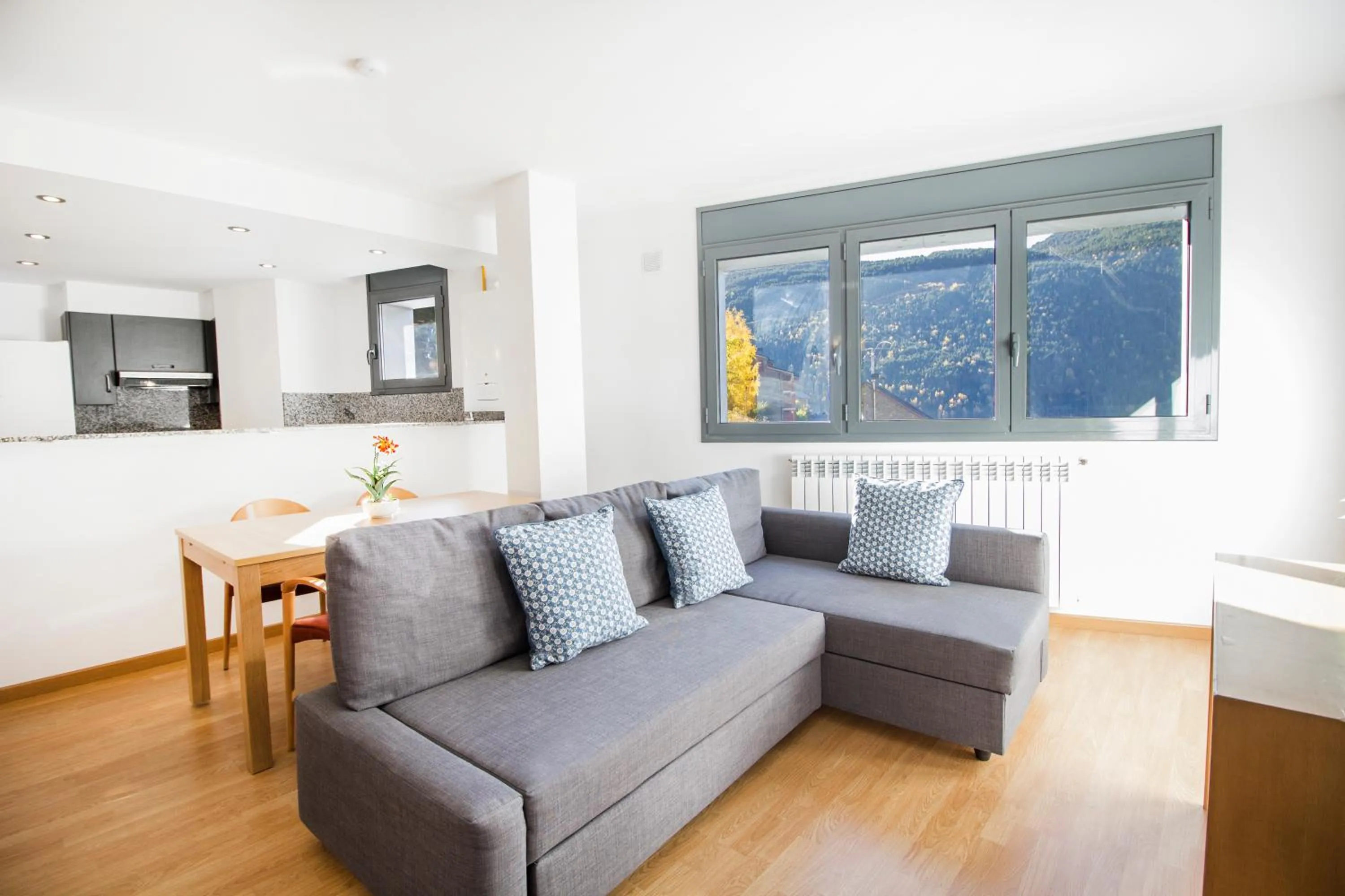 Living room in Font del Ferro Apartments