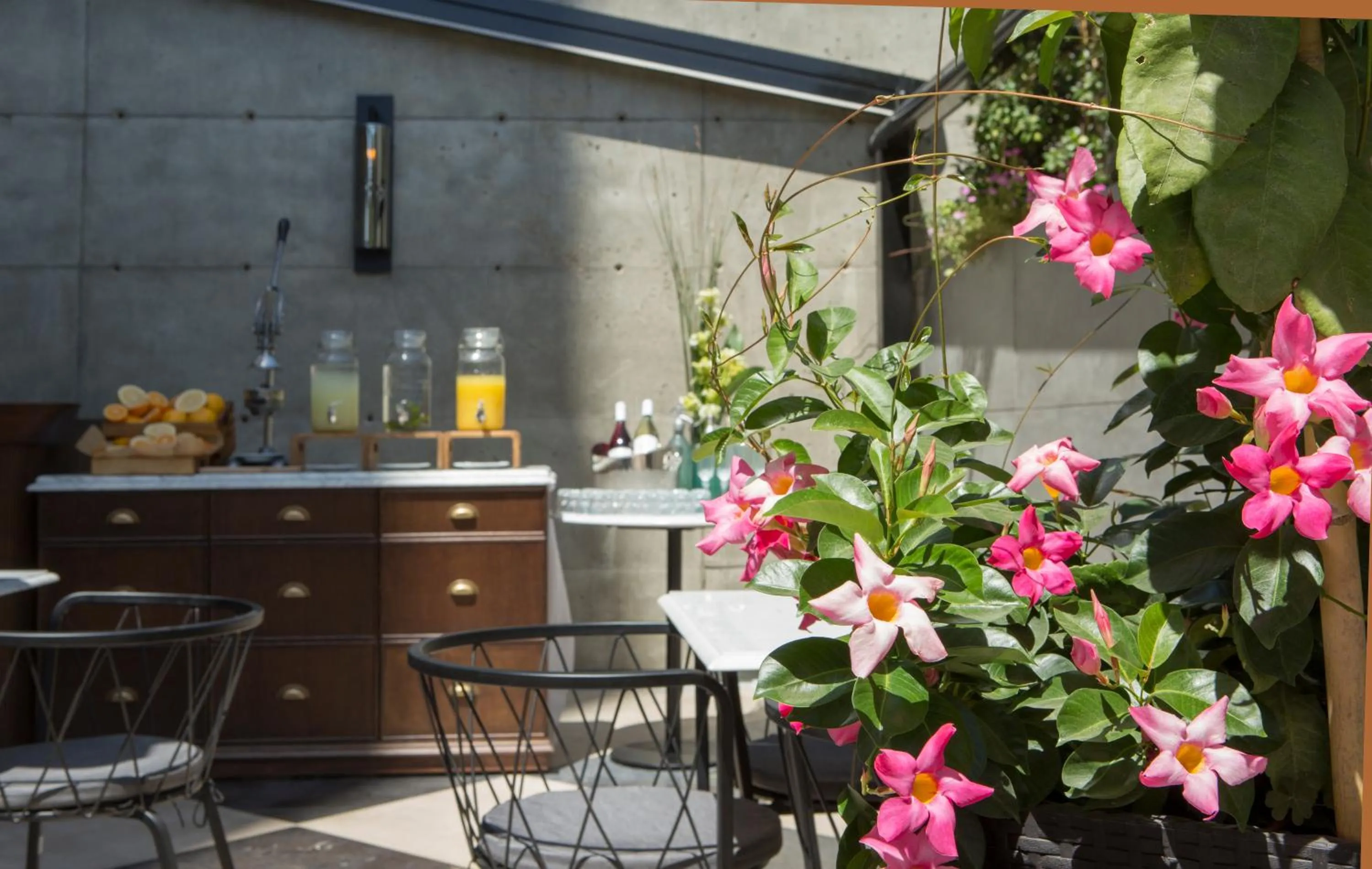 Restaurant/places to eat in Jacob Bat Sheva Jerusalem