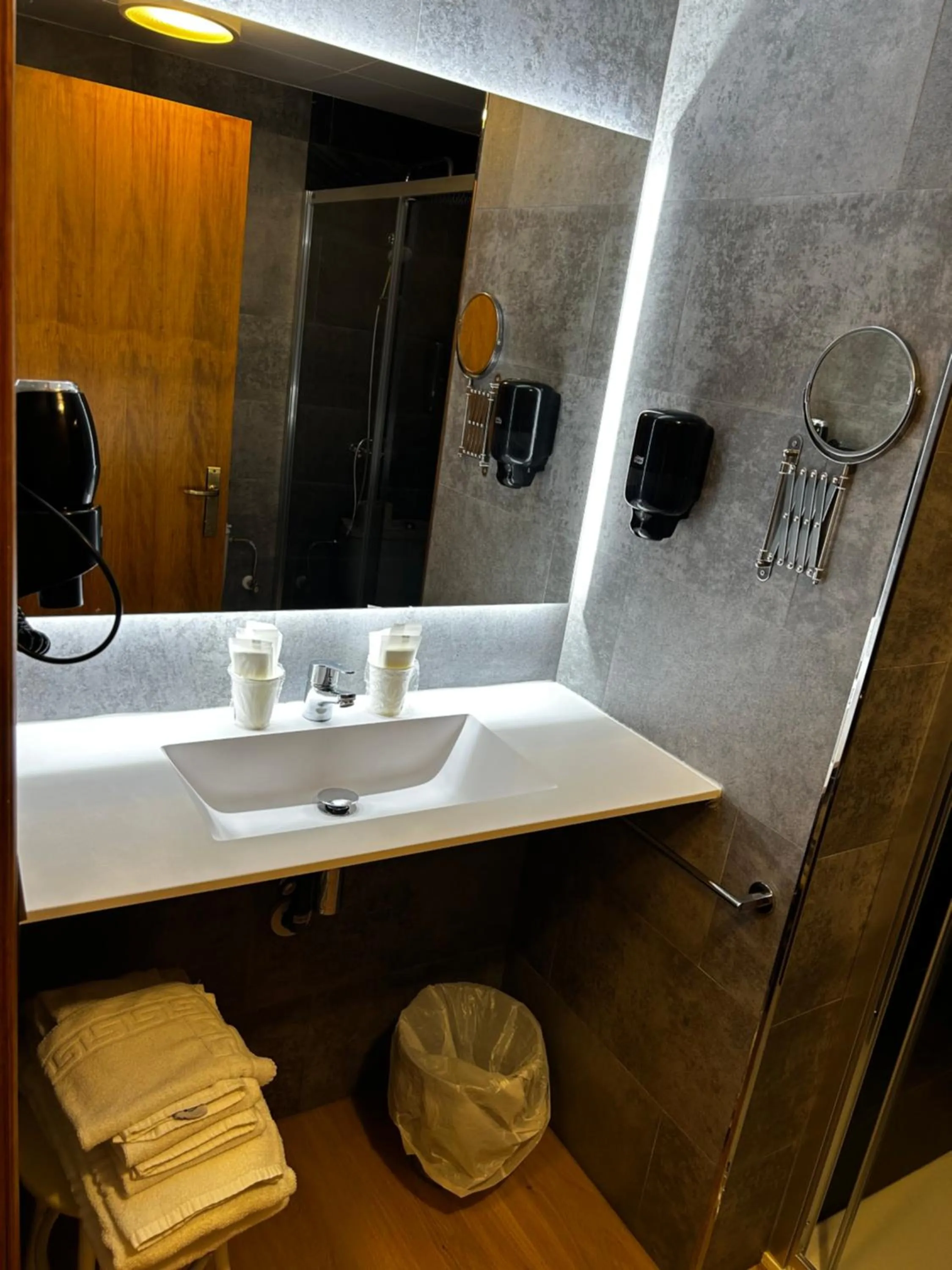 Bathroom in Hotel Santa Bàrbara De La Vall D'ordino