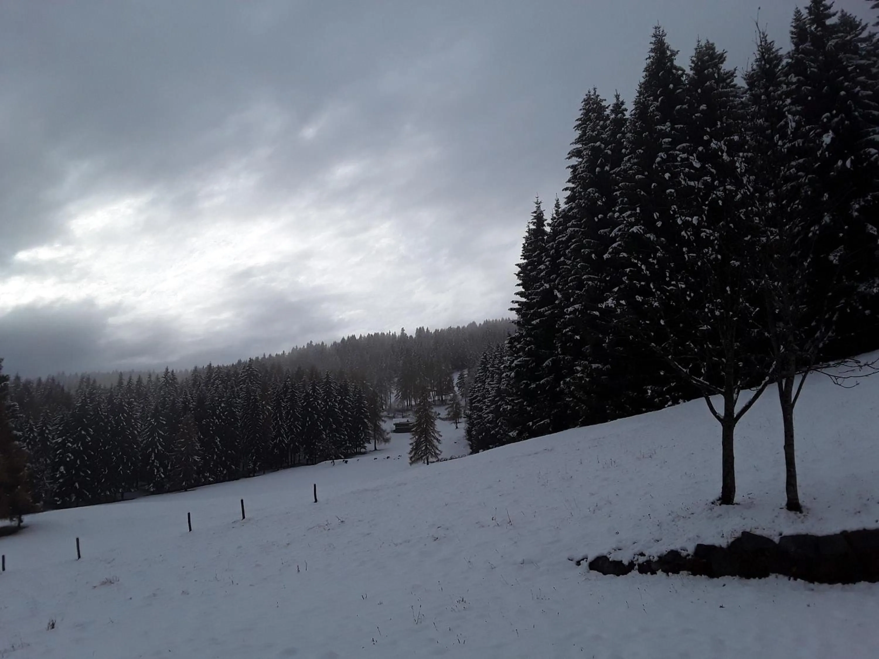 Natural landscape in Chalet Musiera