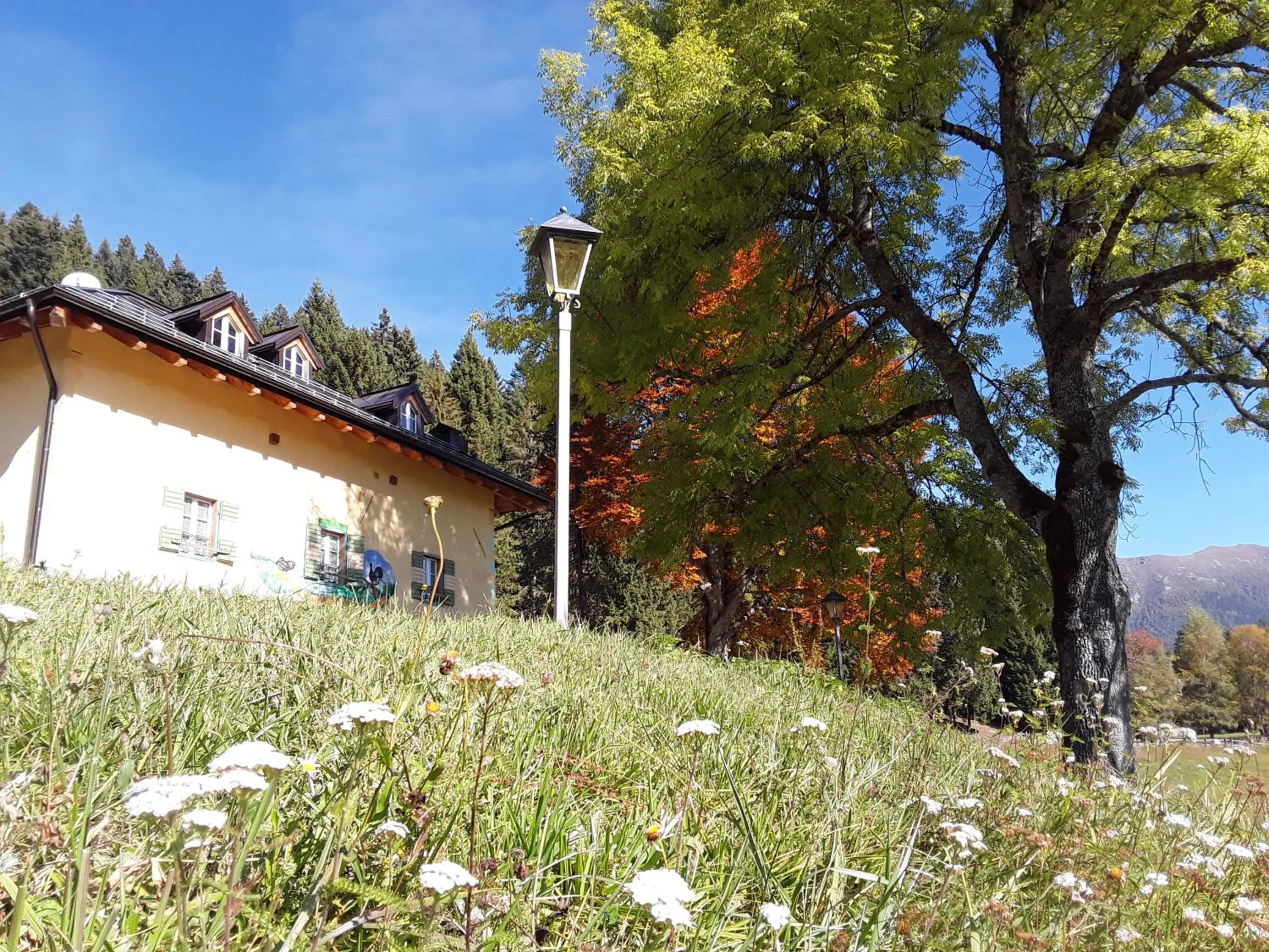 Property building in Chalet Musiera