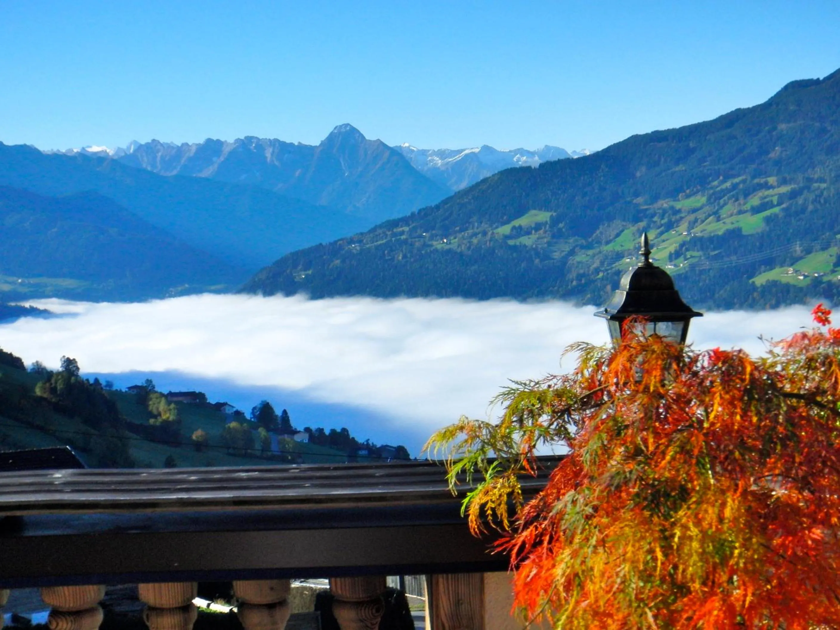 View (from property/room) in Bergkristall