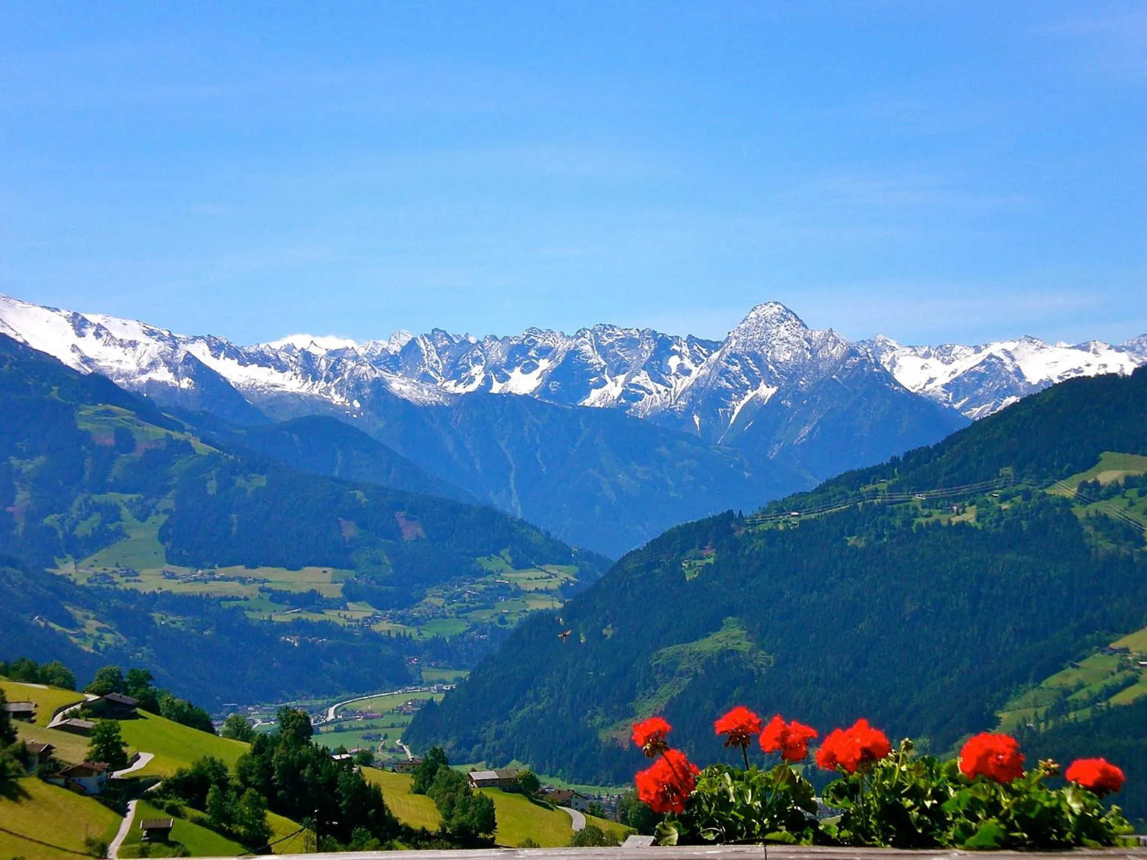 View (from property/room) in Bergkristall