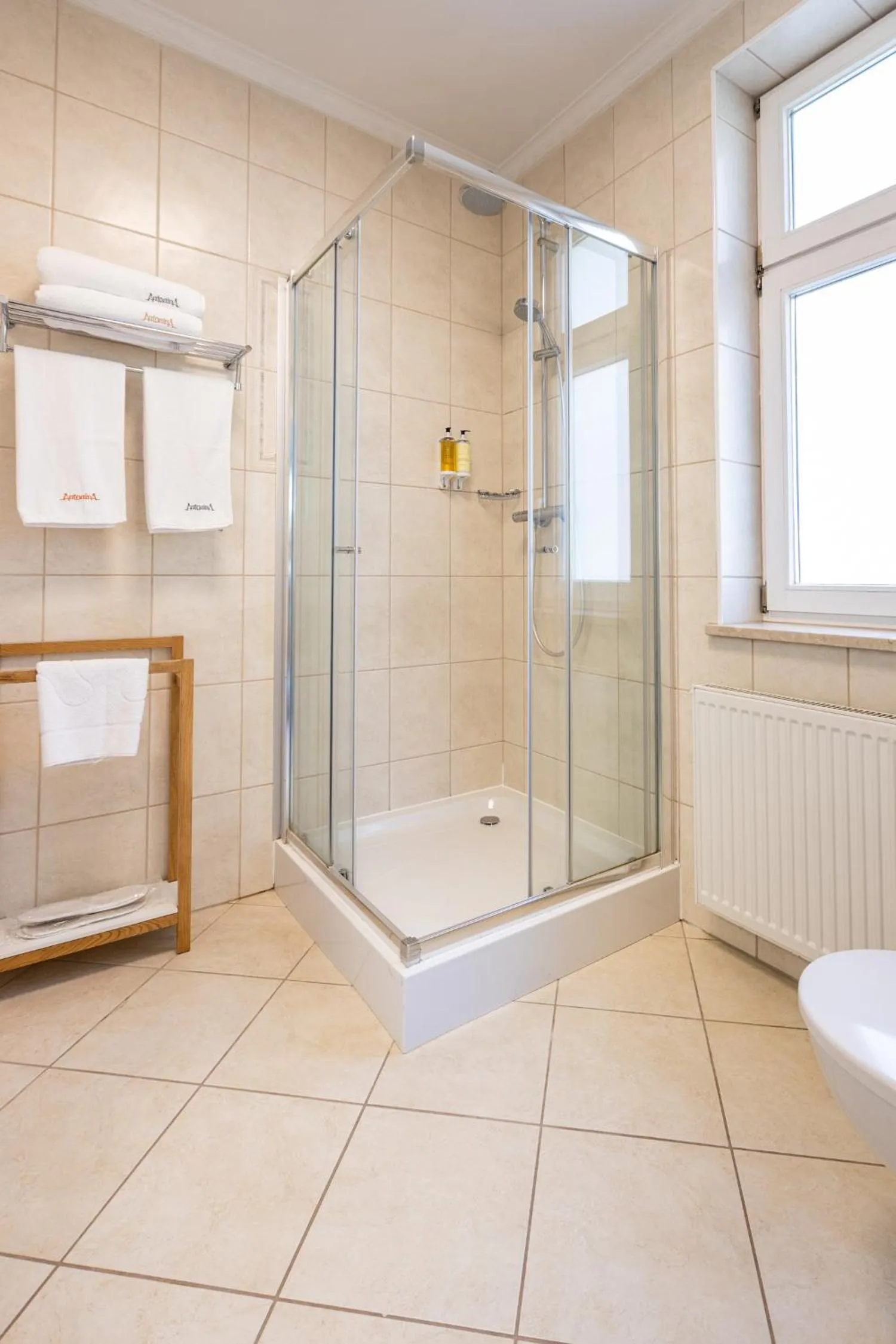 Toilet in Villa Antonina