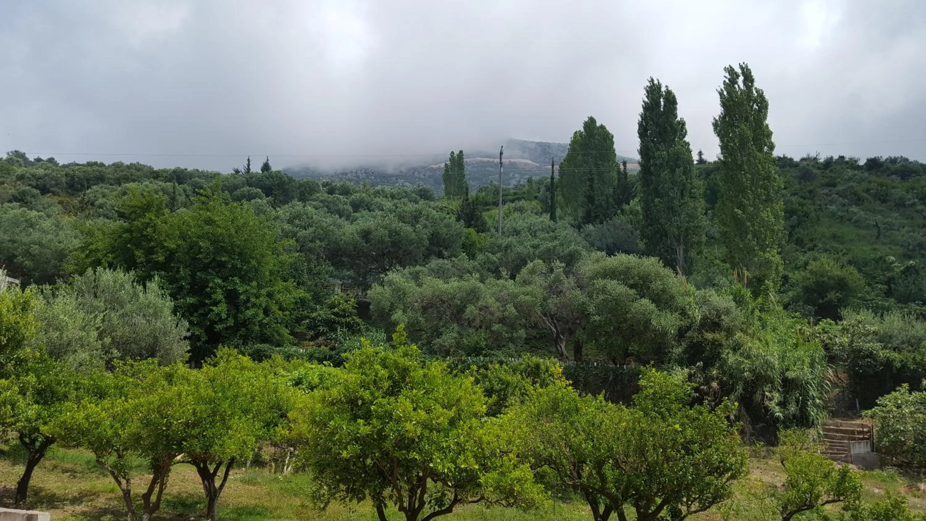 Residenca Juli