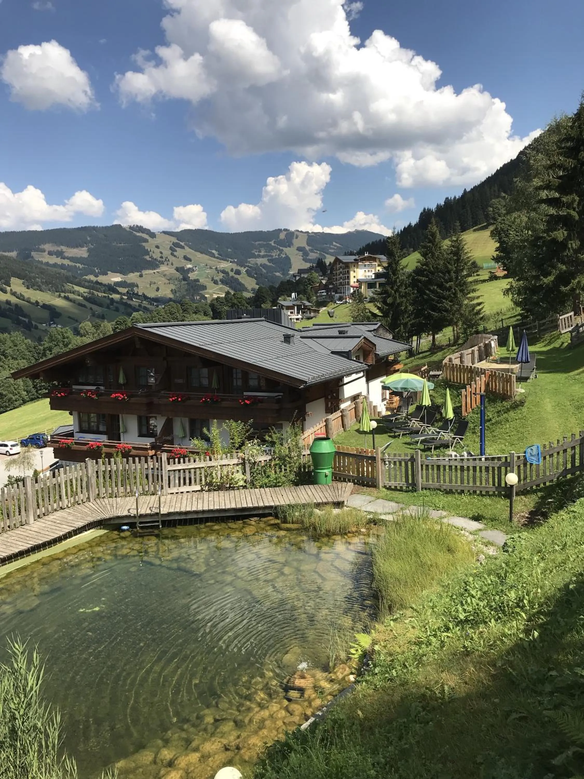 Garden in Appartementhotel Hechenberg