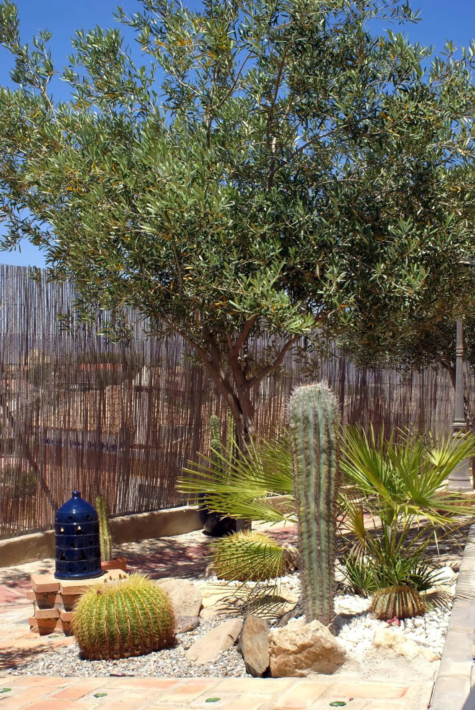 Garden in Hotel Mayarí Boutique Hotel